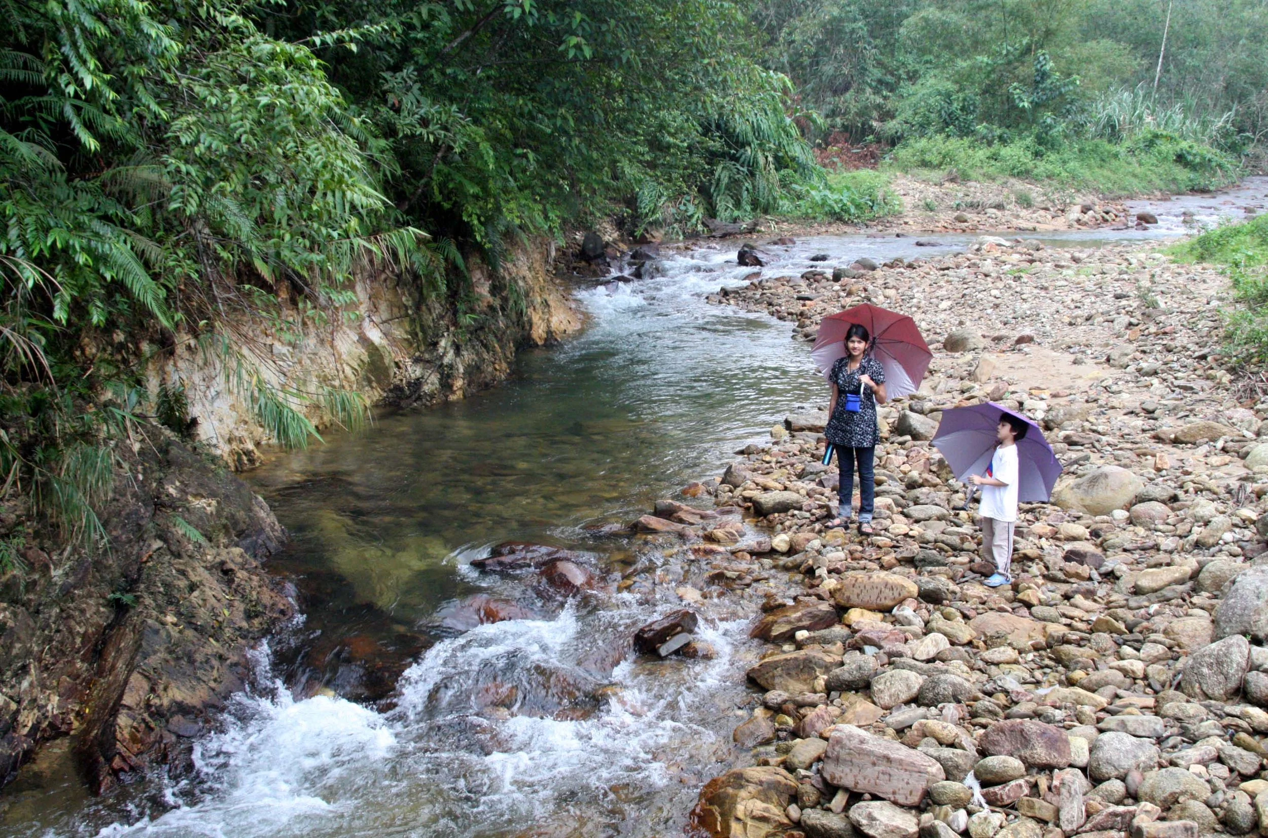 2009 Promluk Property Views (4).JPG