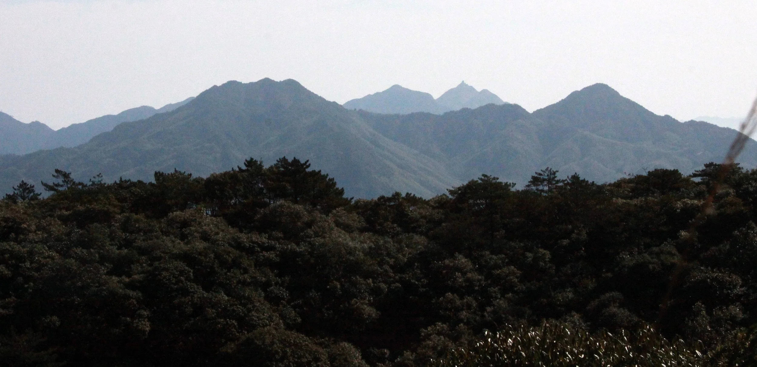 MEIHUASHAN - FUJIAN CHINA (94).JPG