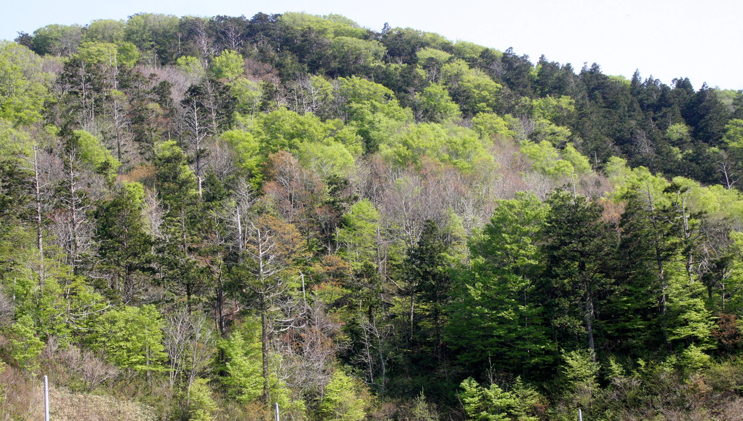 Countryside of Aomori-ken