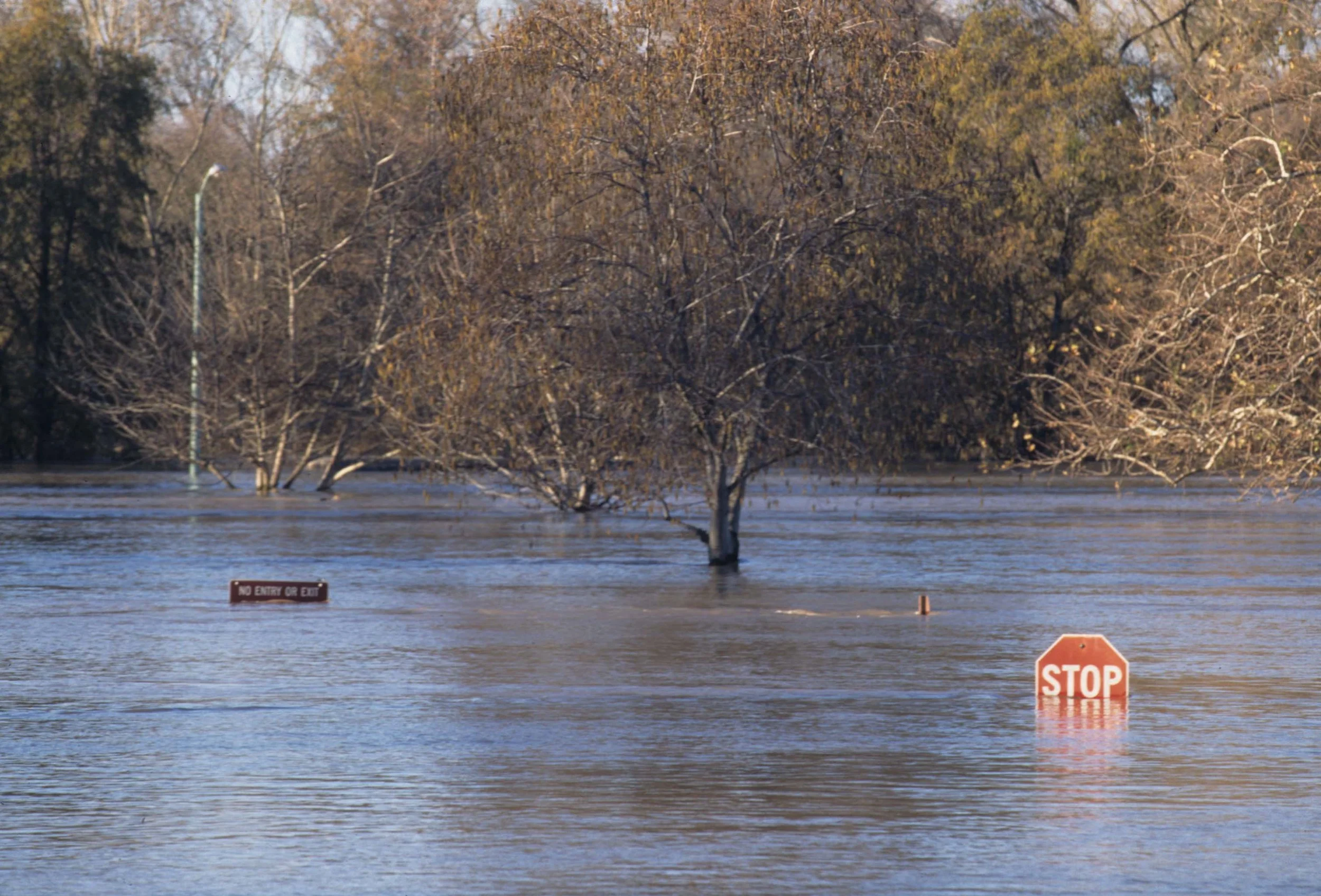 CALIFORNIA - SACRAMENTO FLOODS.jpg