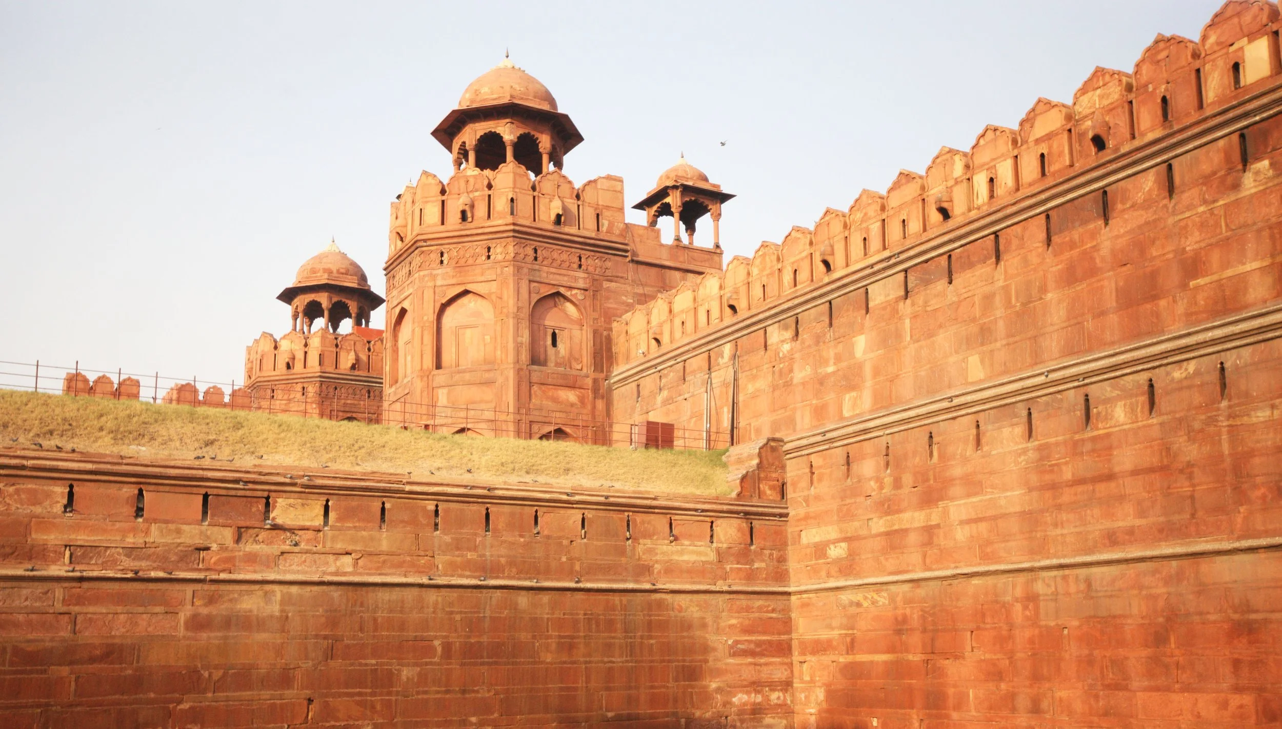 OLD DELHI INDIA - SNOW LEOPARD TRIP 2014 (44).JPG