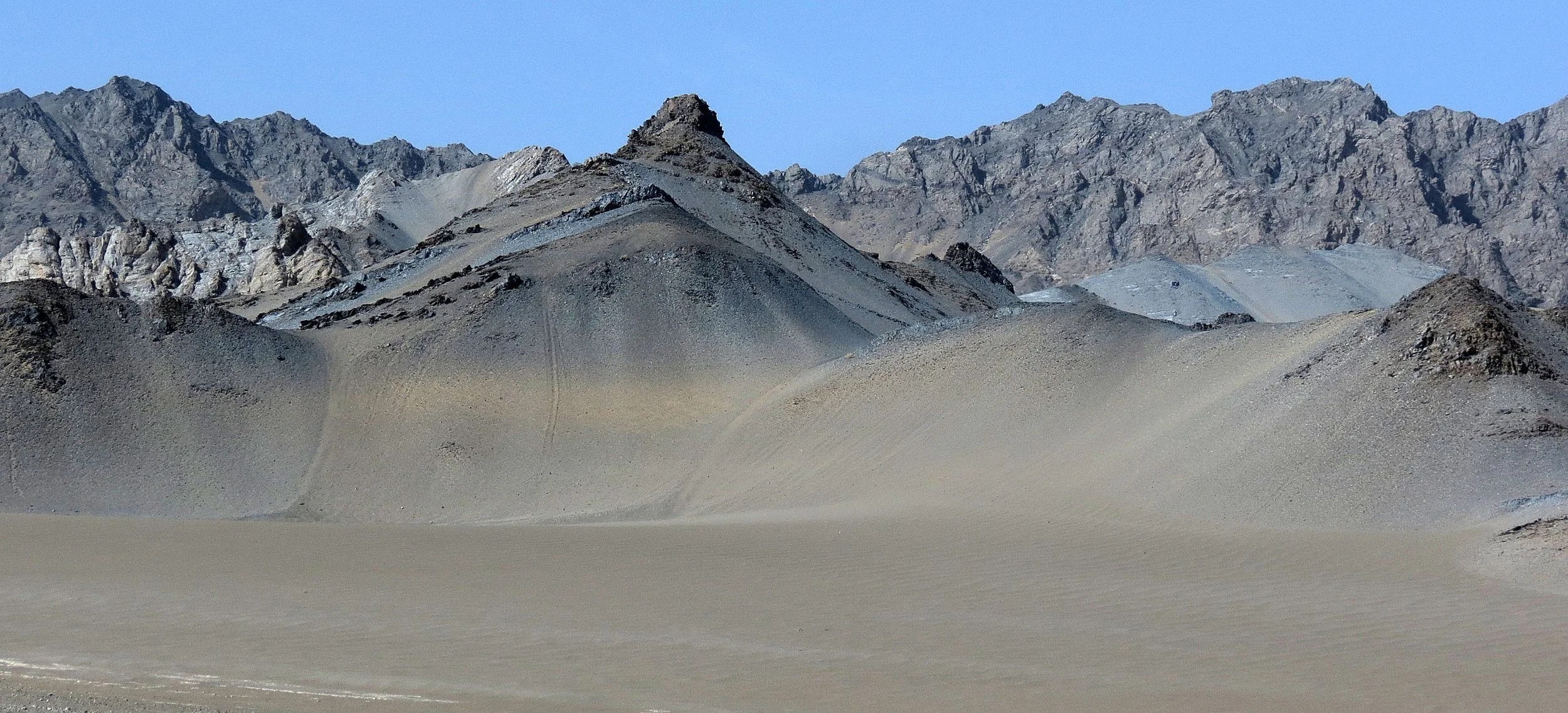 LOP NUR WILD BACTRIAN CAMEL RESERVE - XINJIANG CHINA (27).JPG