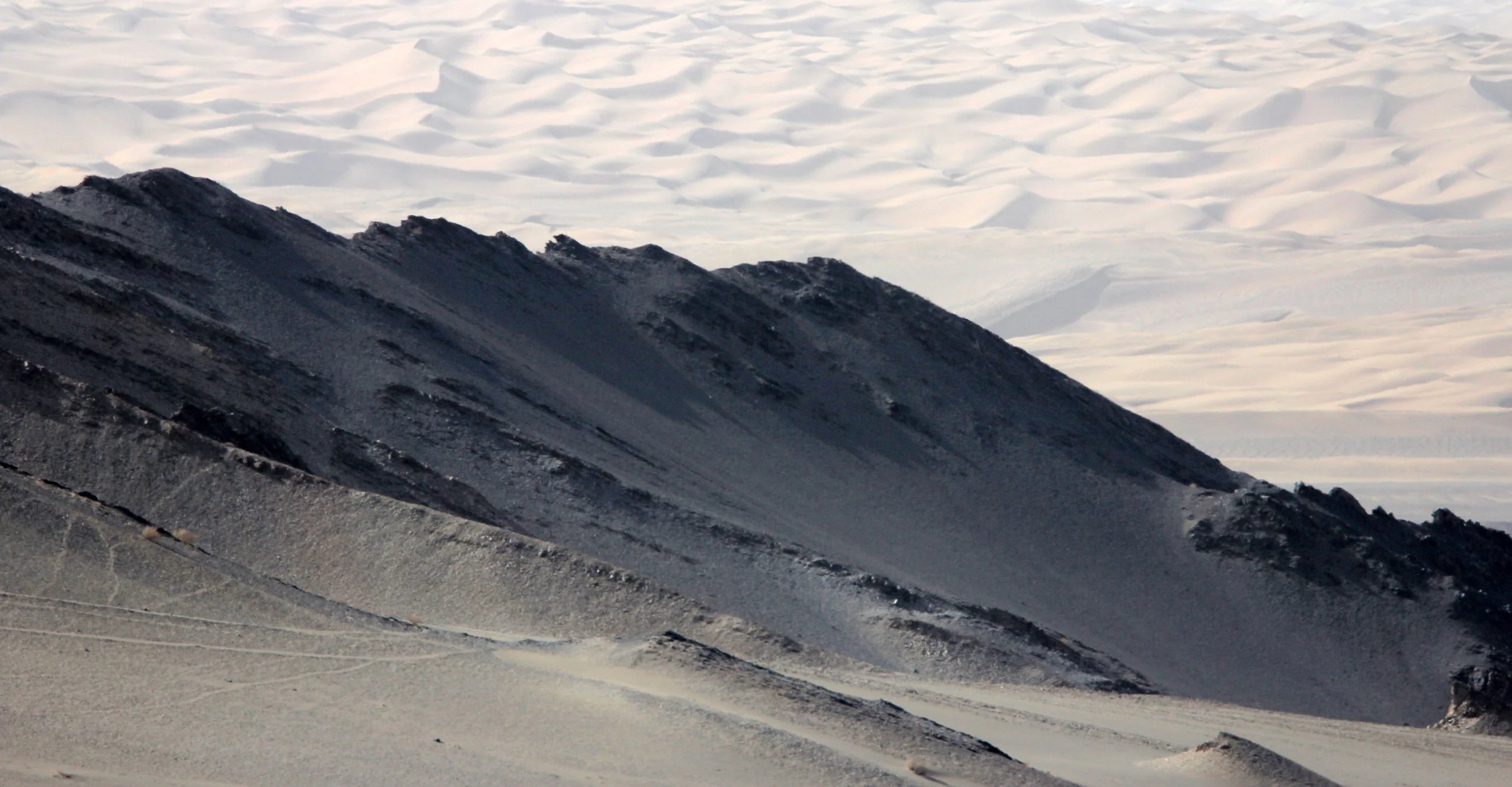 LOP NUR WILD BACTRIAN CAMEL RESERVE - XINJIANG CHINA (98).JPG