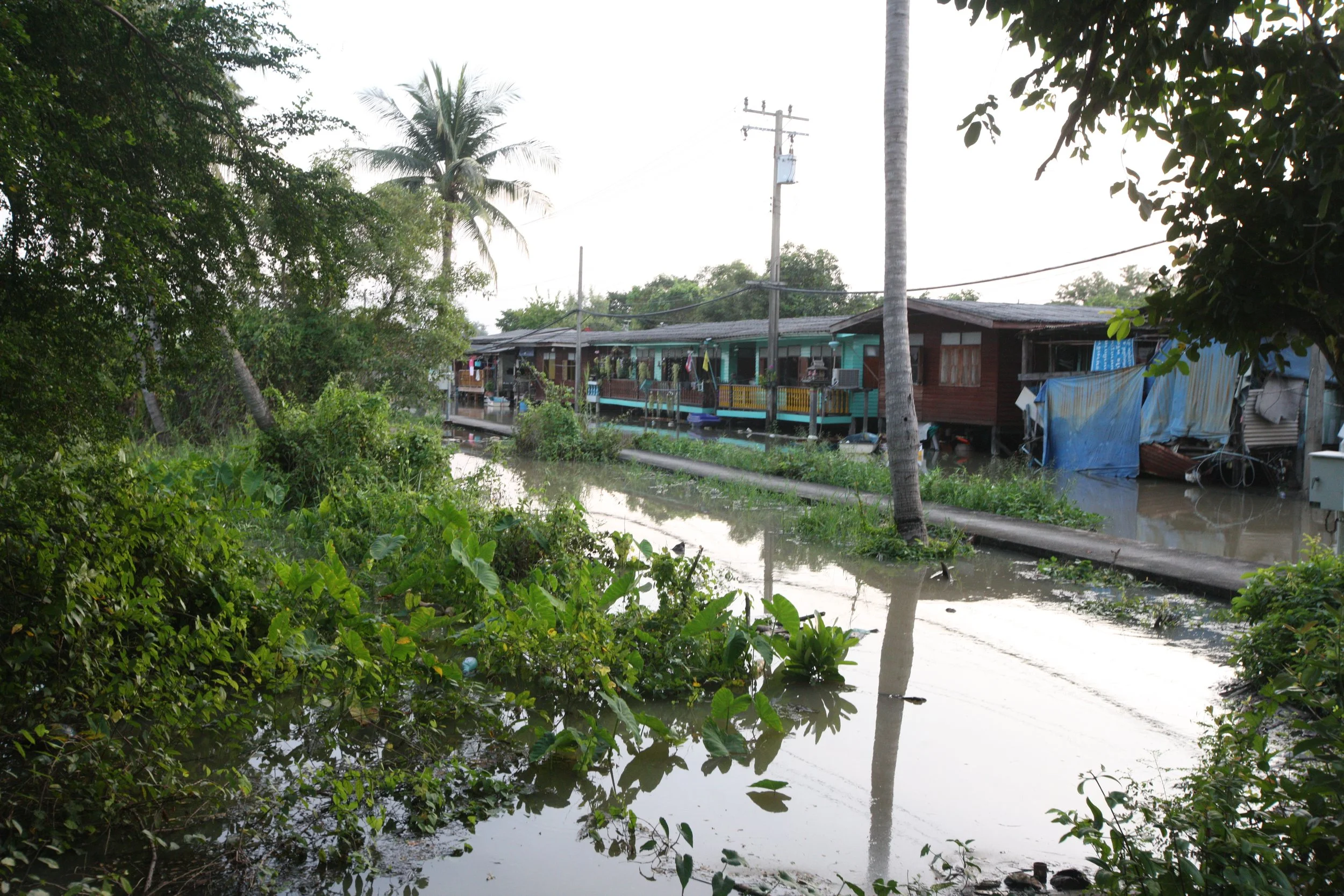 2015 Family scenes in Bangkok (49).JPG