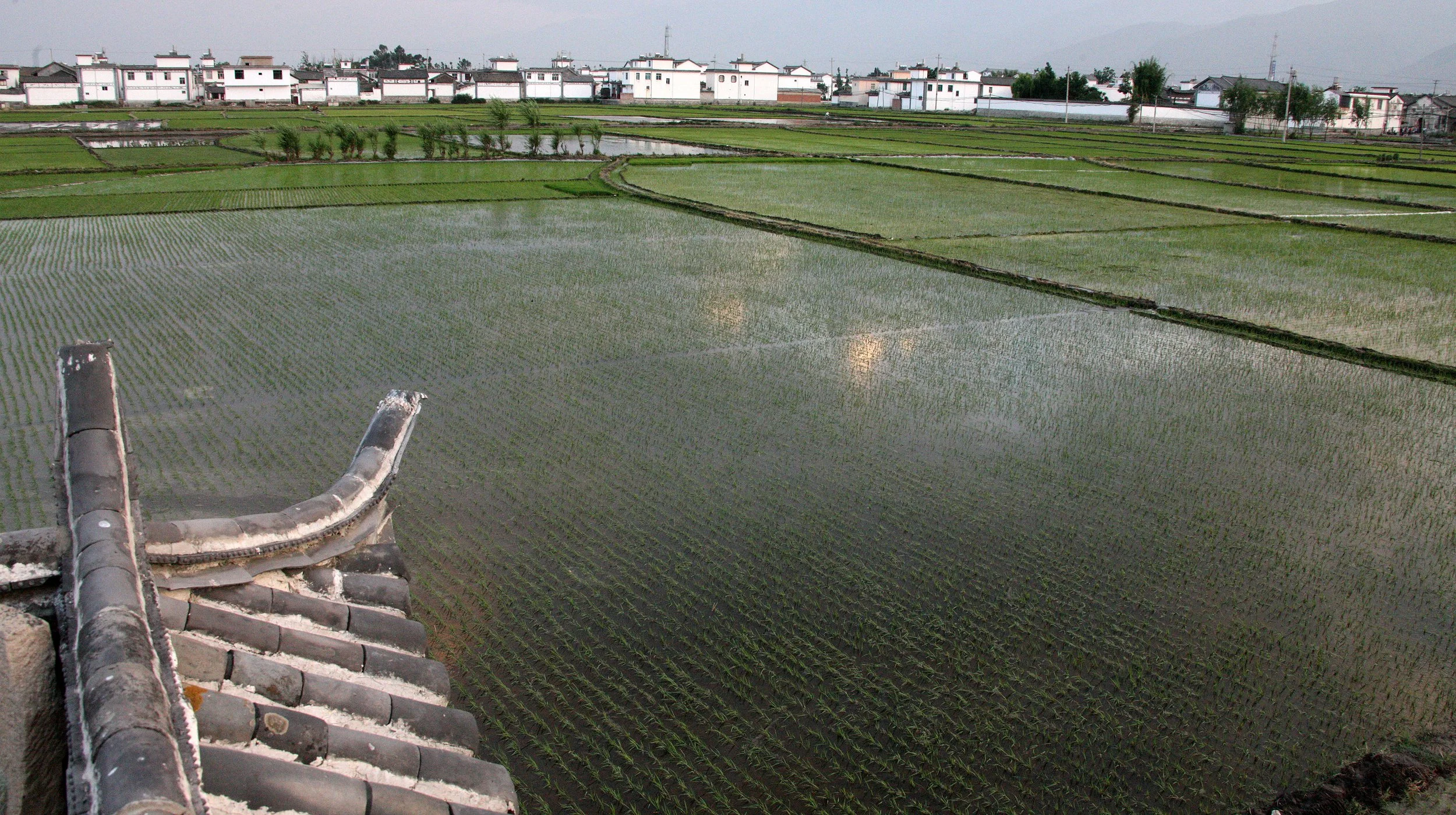 LINDEN CENTER - XIZHOU VILLAGE YUNNAN CHINA (39).JPG