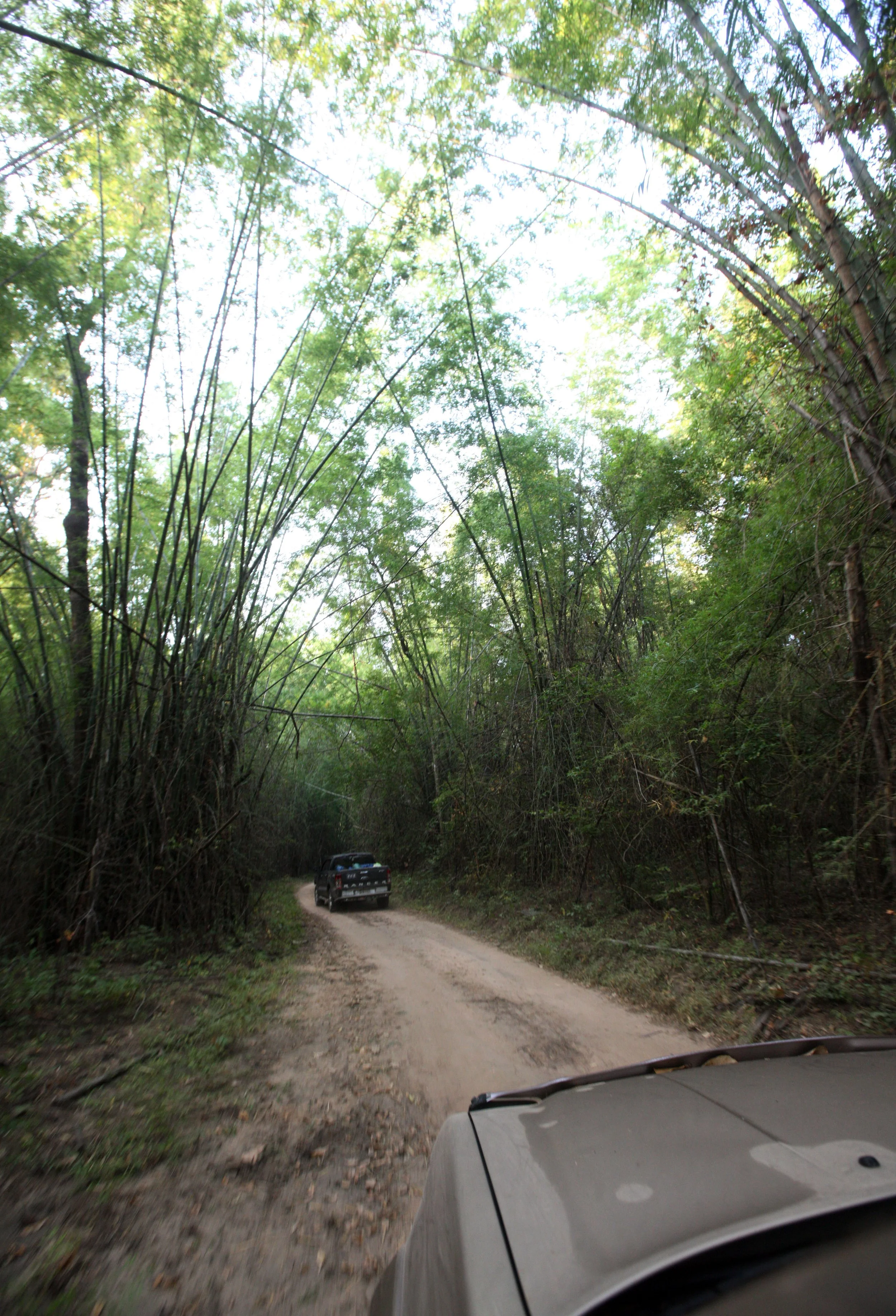 2014 Huai Kha Khaeng Bruce Kekule Trip (151).JPG