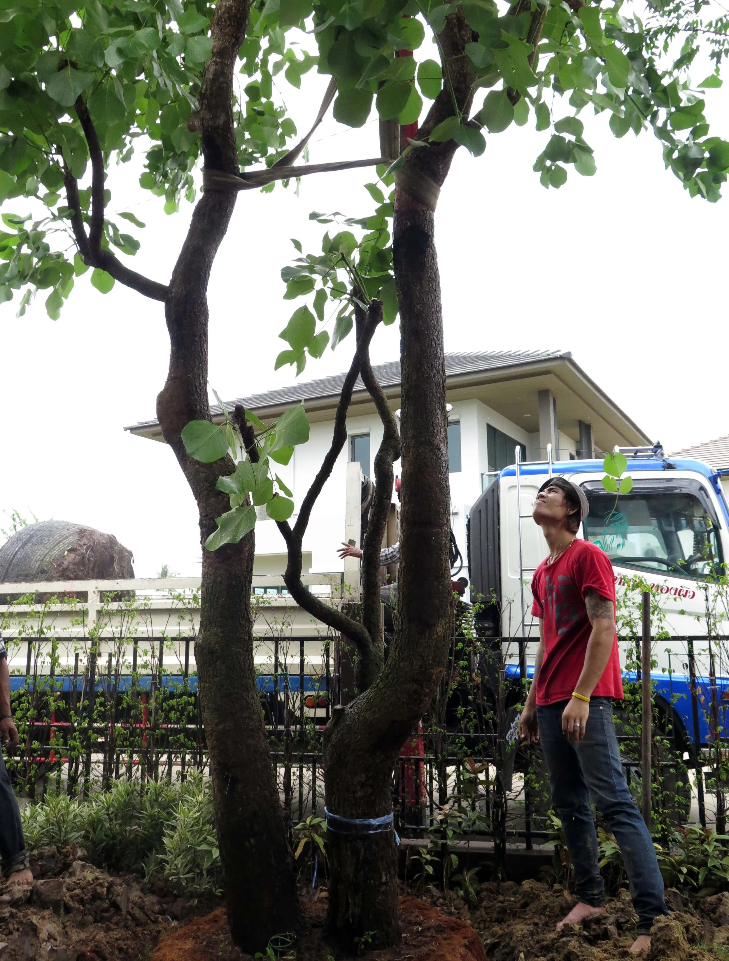 2013 Nonthaburi Setthasiri House and Nonthaburi Neighborhood (28).JPG