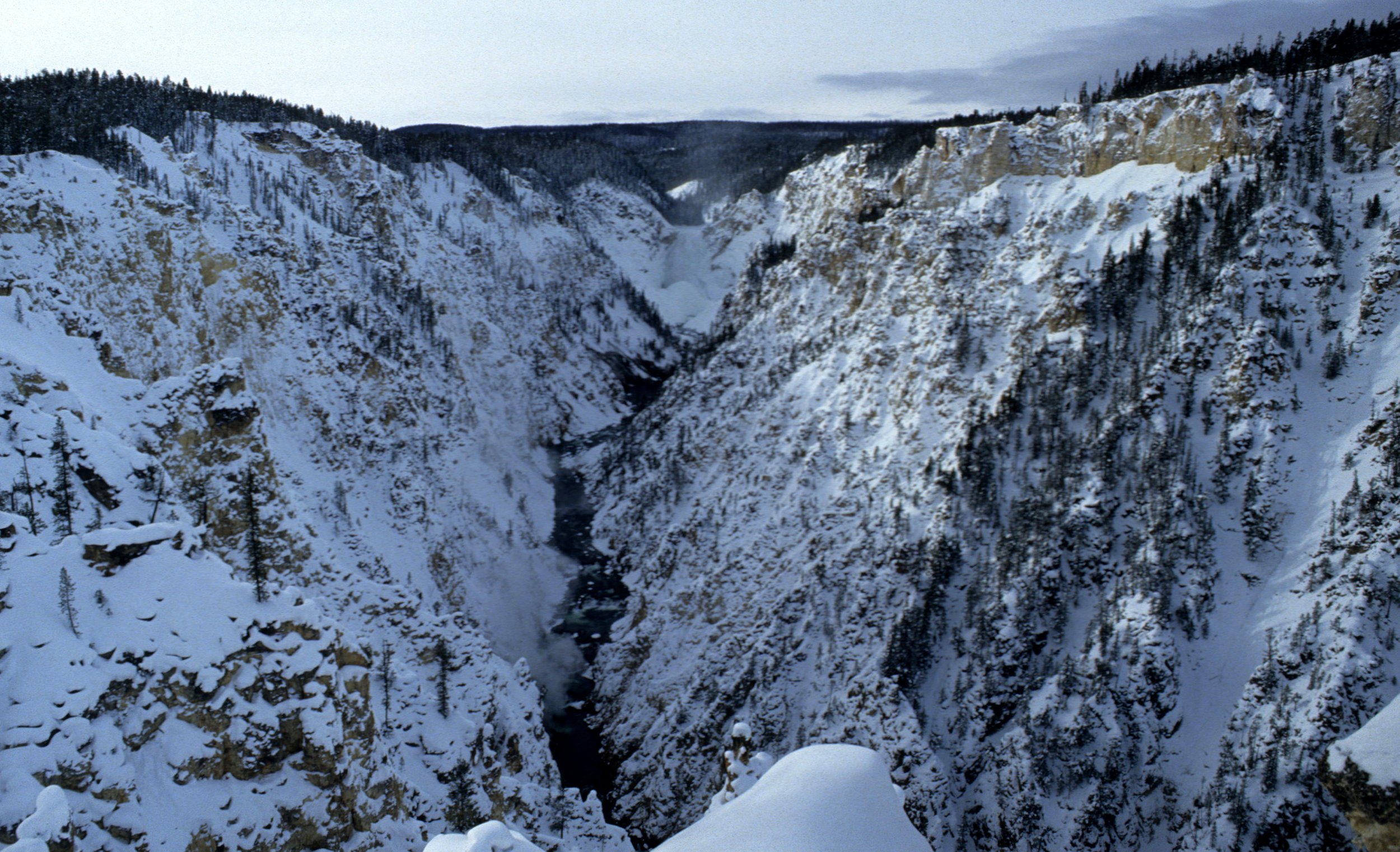 YELLOWSTONE IN WINTER CC.jpg