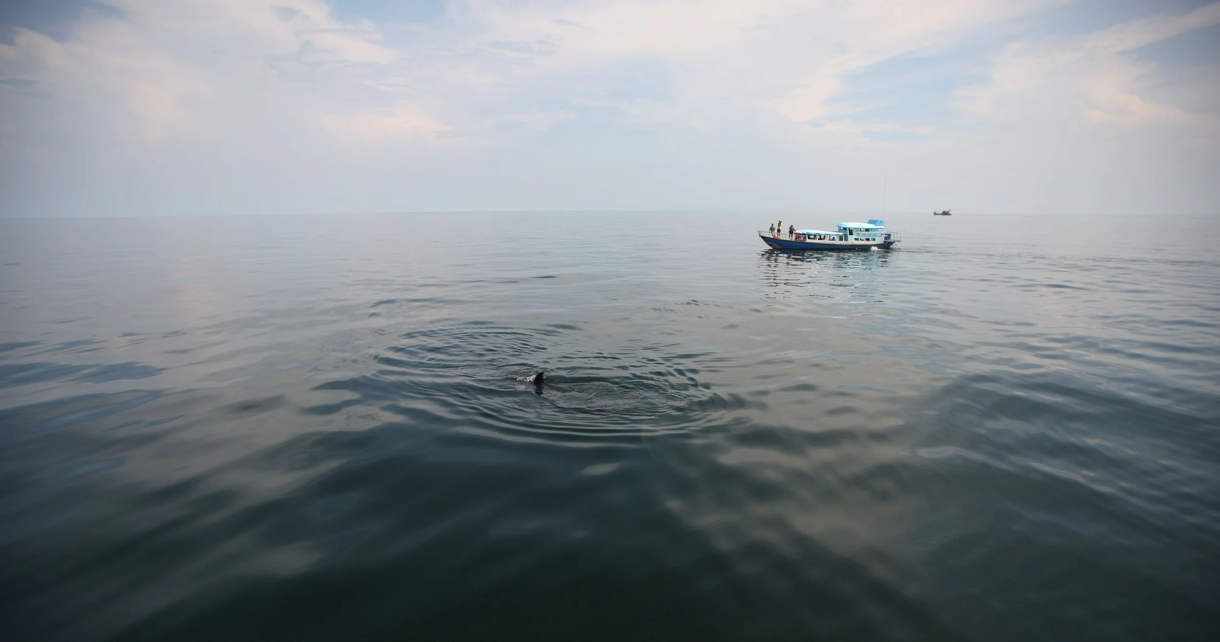 2014 Amphawa Trip to See Whales from Baan Taboon (54).JPG