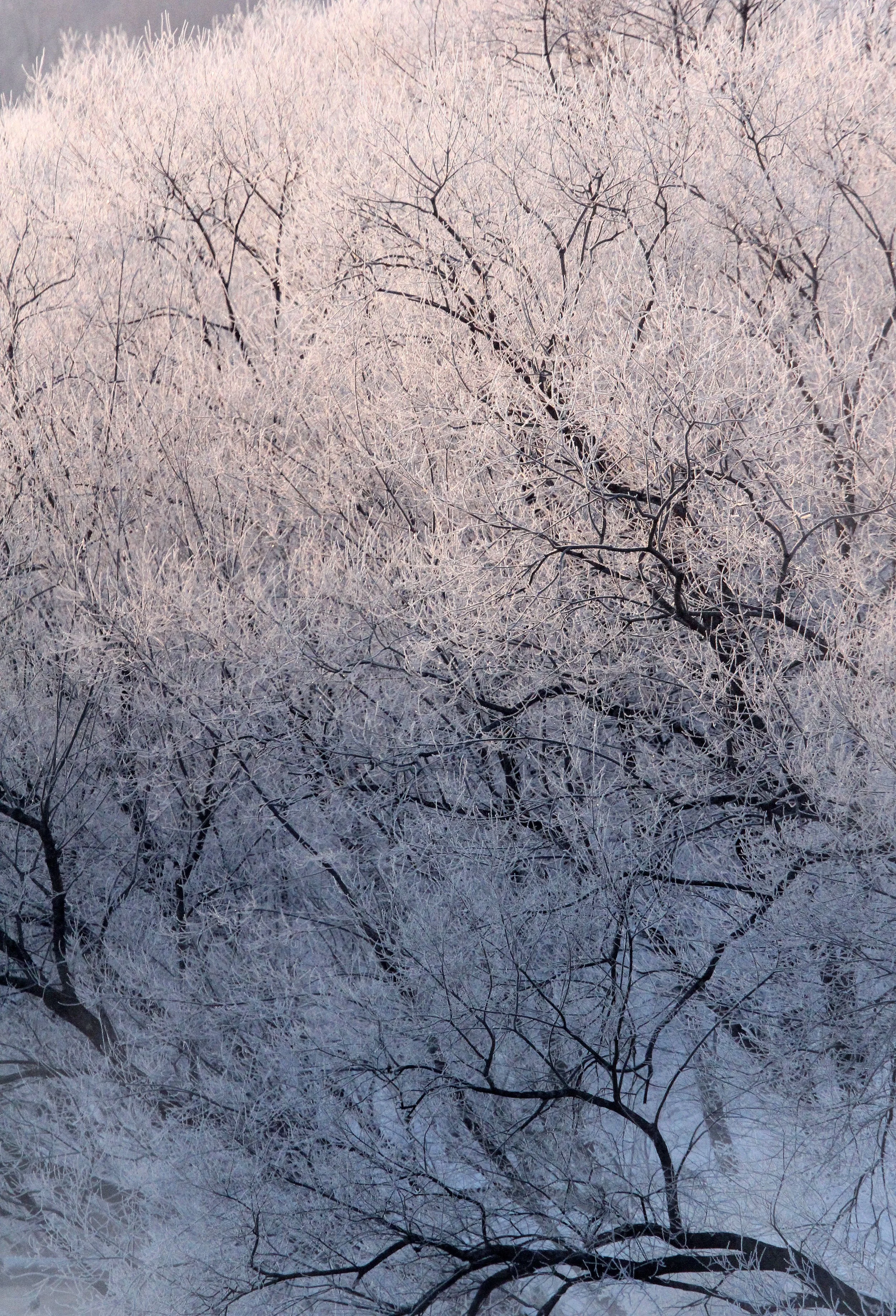 OTOWABASHI SETSUGAWA - TSURUI TOWN - HOKKAIDO JAPAN (25).JPG