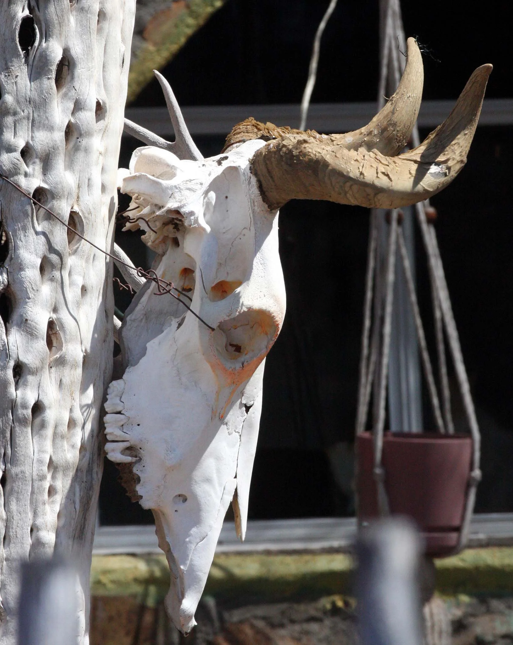 CATAVINA DESERT BAJA MEXICO - ROADSIDE STOP (2).JPG