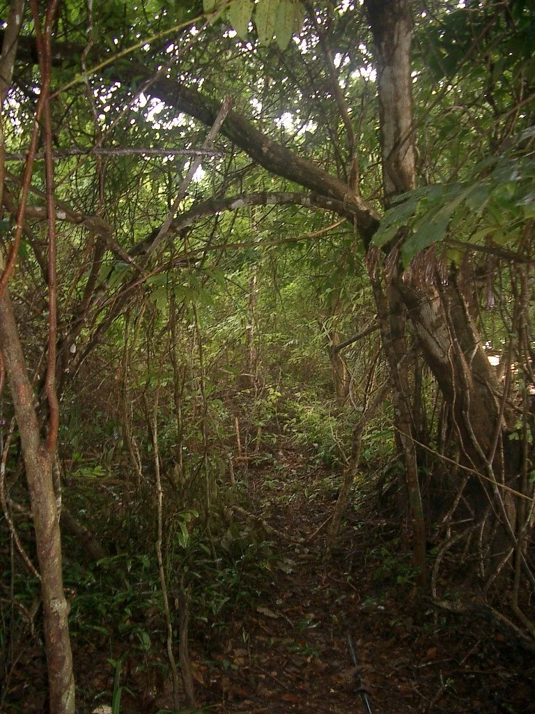 KOH LANTA - PROPERTY - 2004 (7).JPG