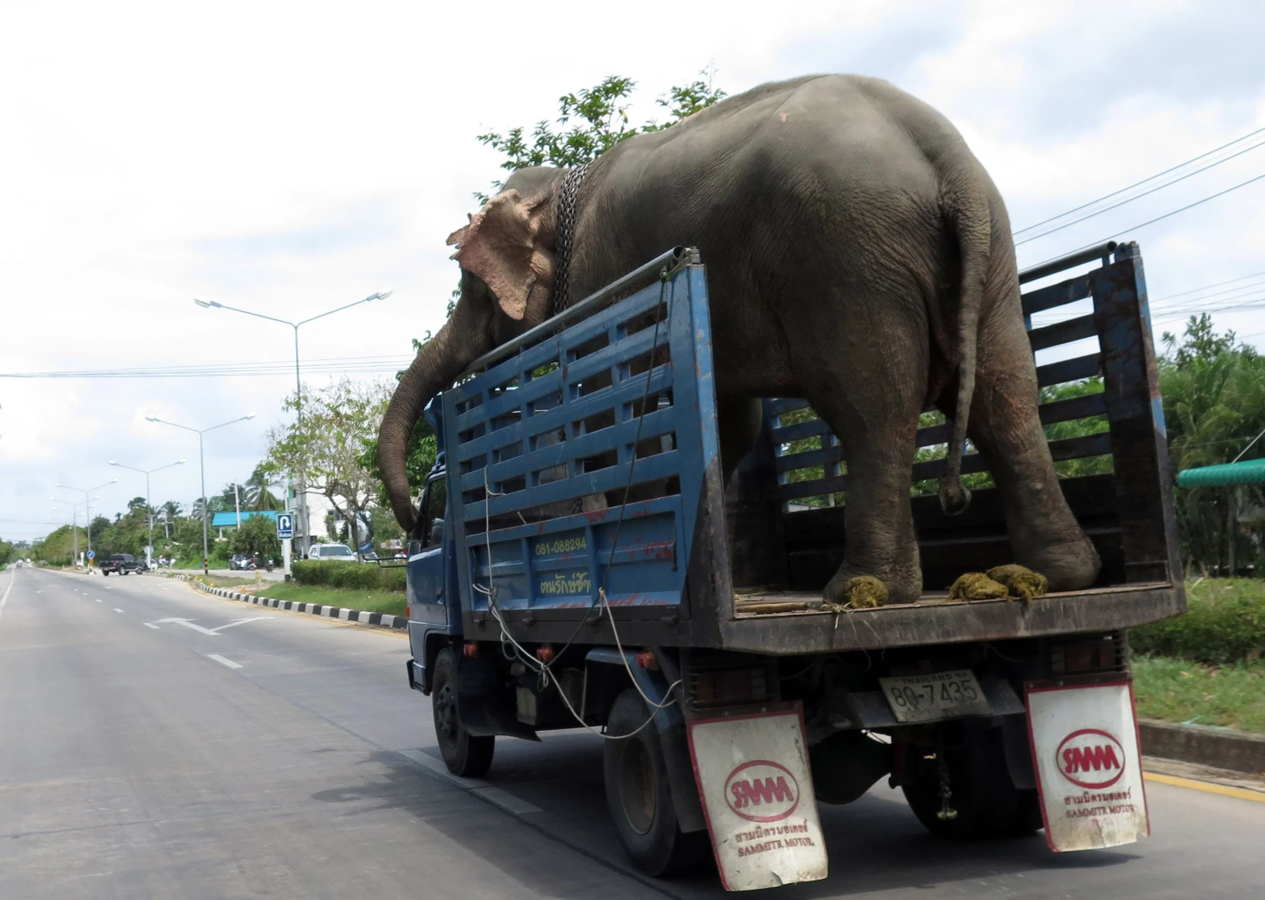 2014 Nakhonsithammarat with Family (80).JPG