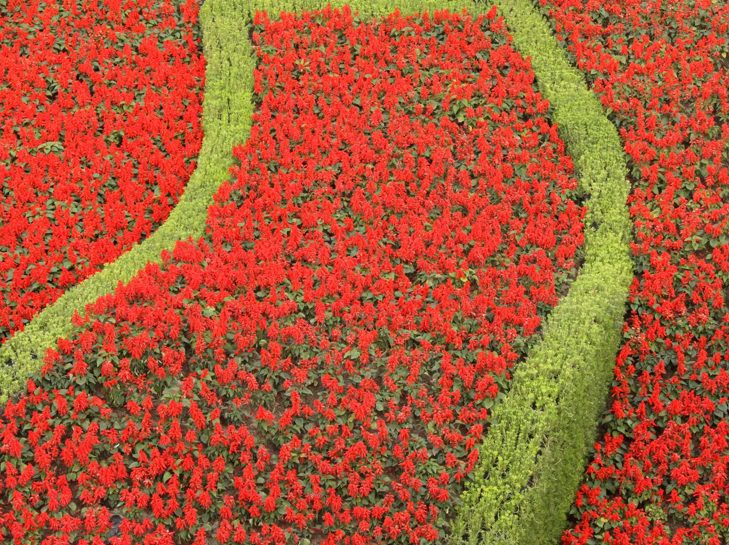 2011-5-6 PUDONG SHANGHAI (4).JPG
