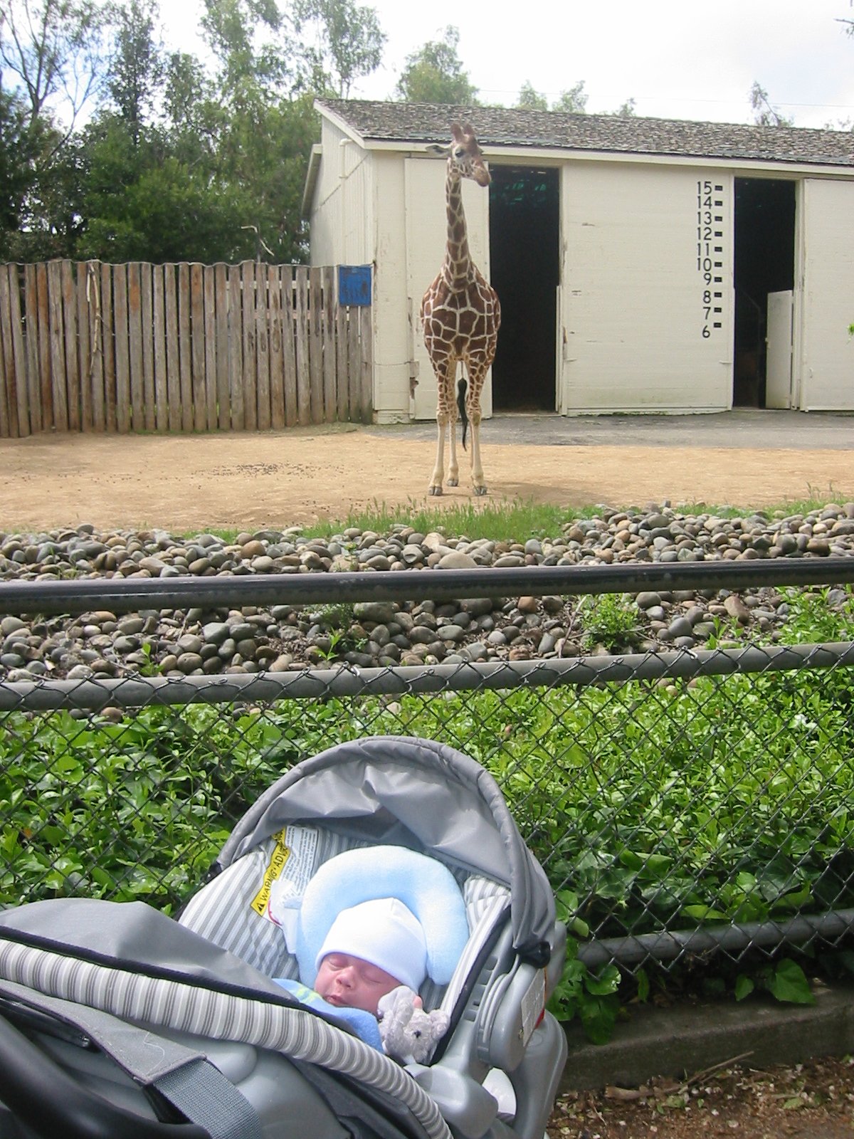 2003-4-1 SPRING TRIP TO SACRAMENTO (103).JPG