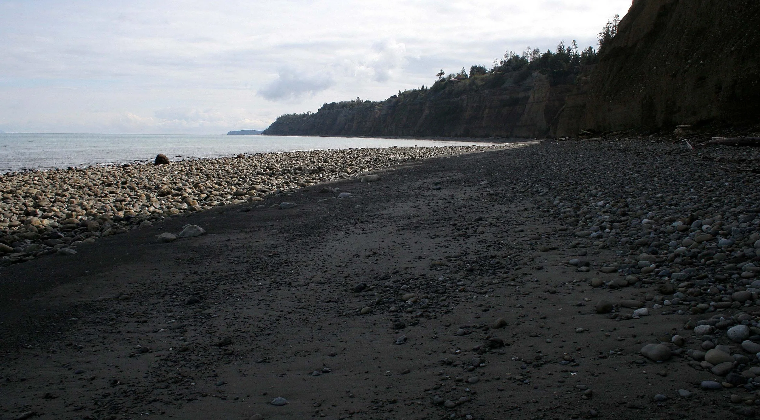 2008-4-20 LAKE FARM BEACH WALK (4).JPG