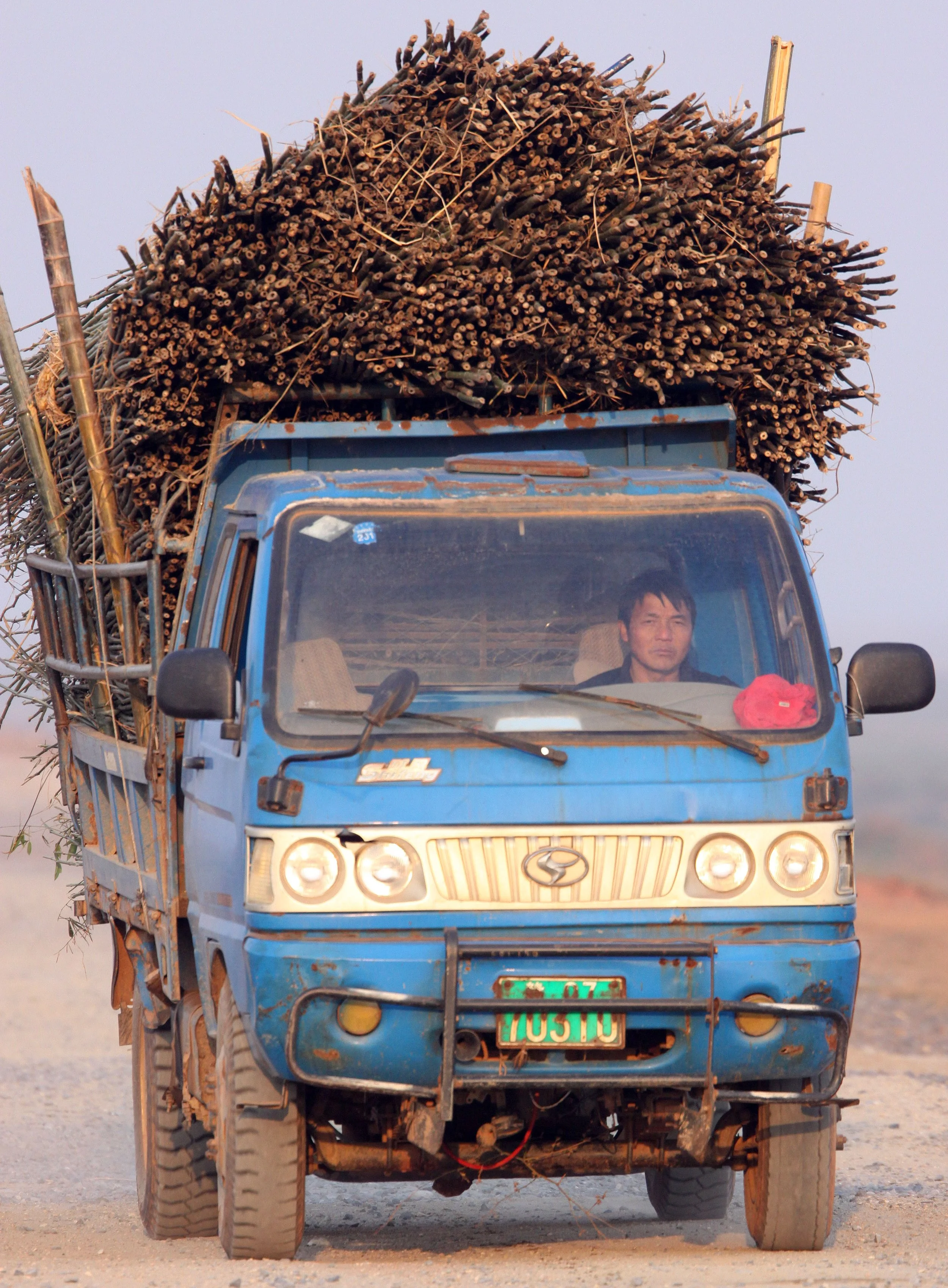 NANJI HILL RESERVE - POYANG LAKE JIANGXI PROVINCE CHINA (47).JPG