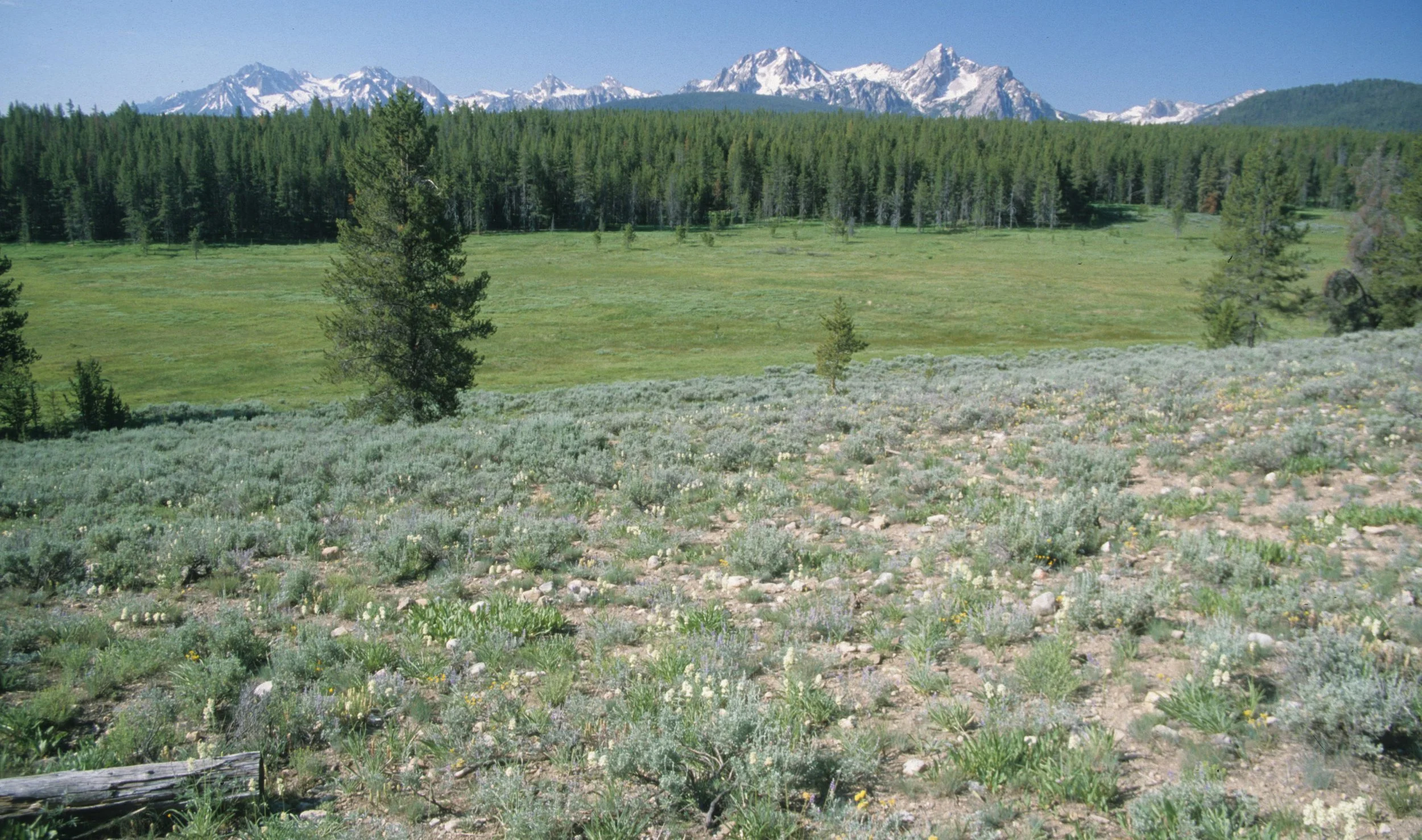 IDAHO - SAWTOOTH MOUNTAINS A.jpg