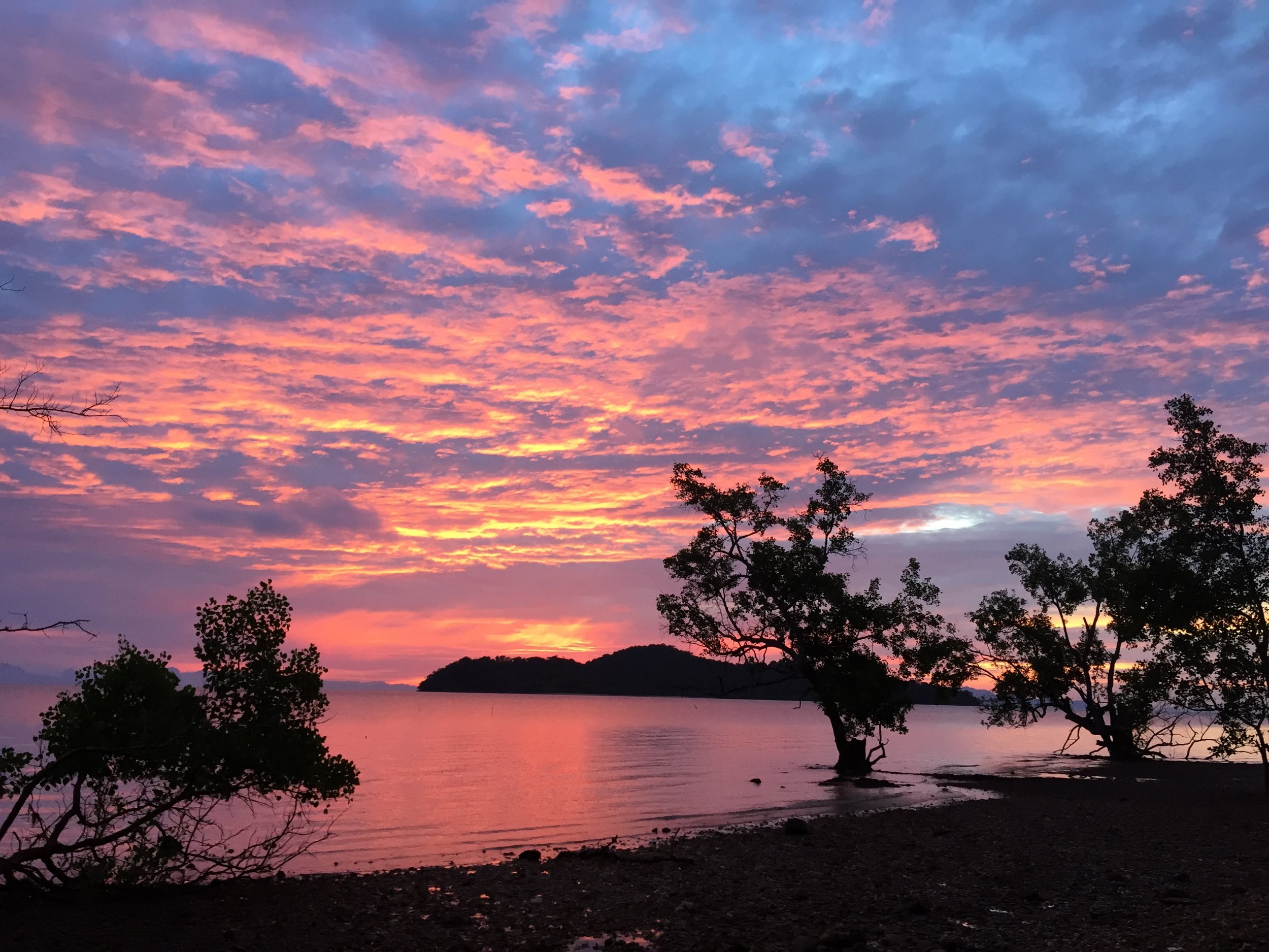 2015 Koh Lanta Garden & Nature (300).JPG