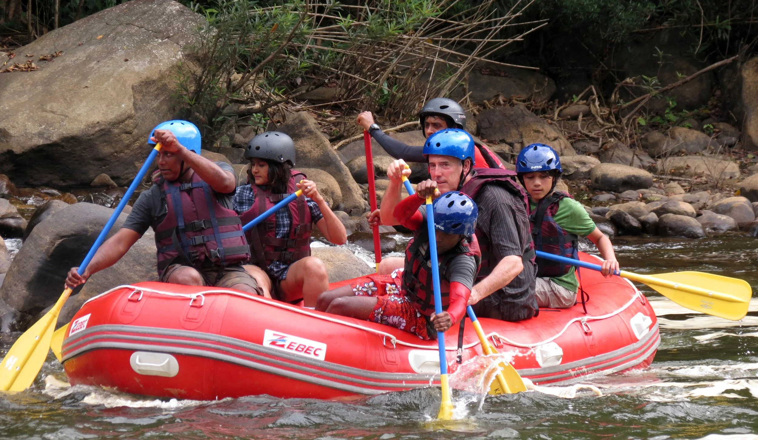 KITULGALA FOREST PRESERVE SRI LANKA (53).JPG