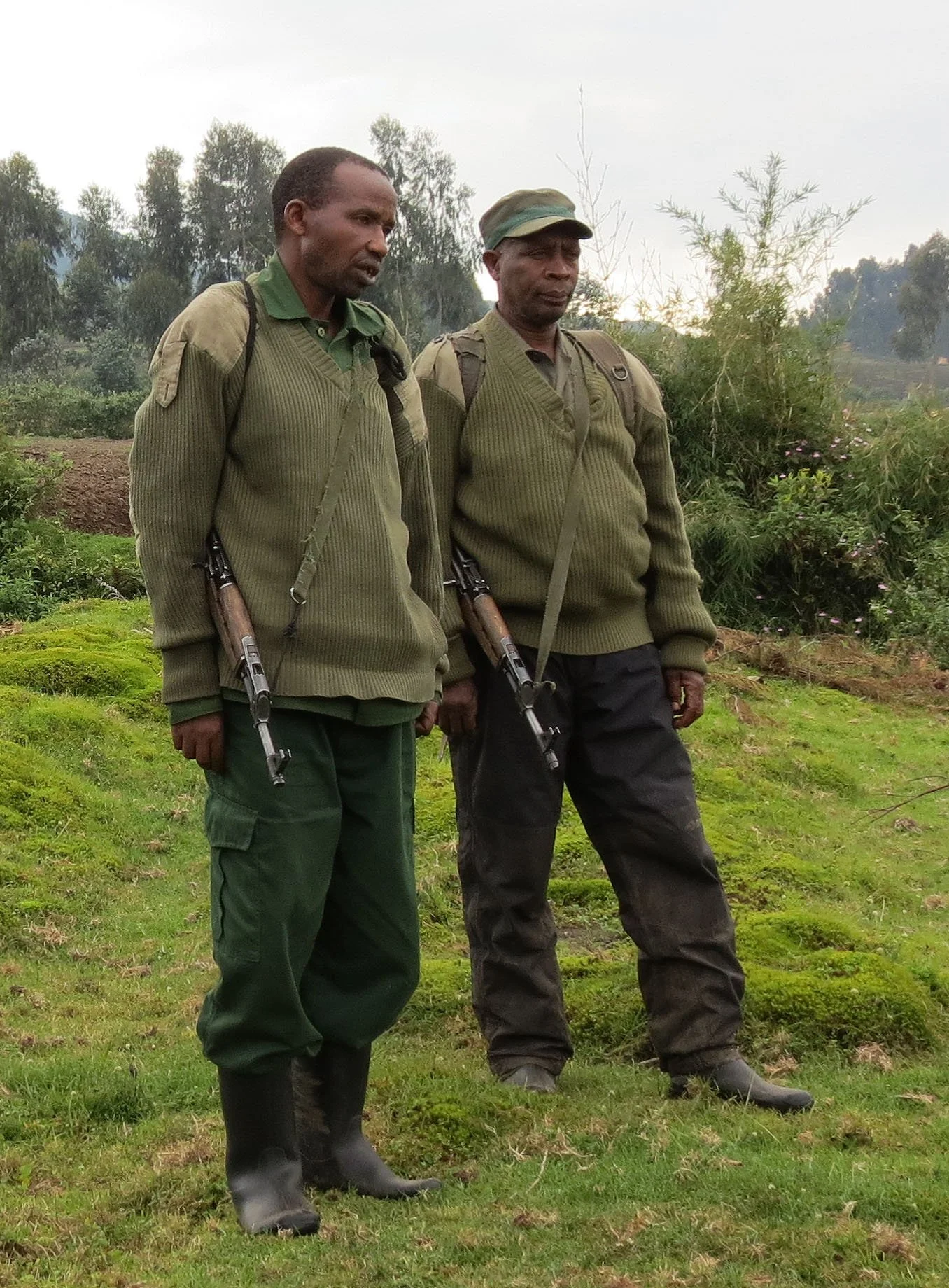PARC DU VULCANS RWANDA (14).JPG