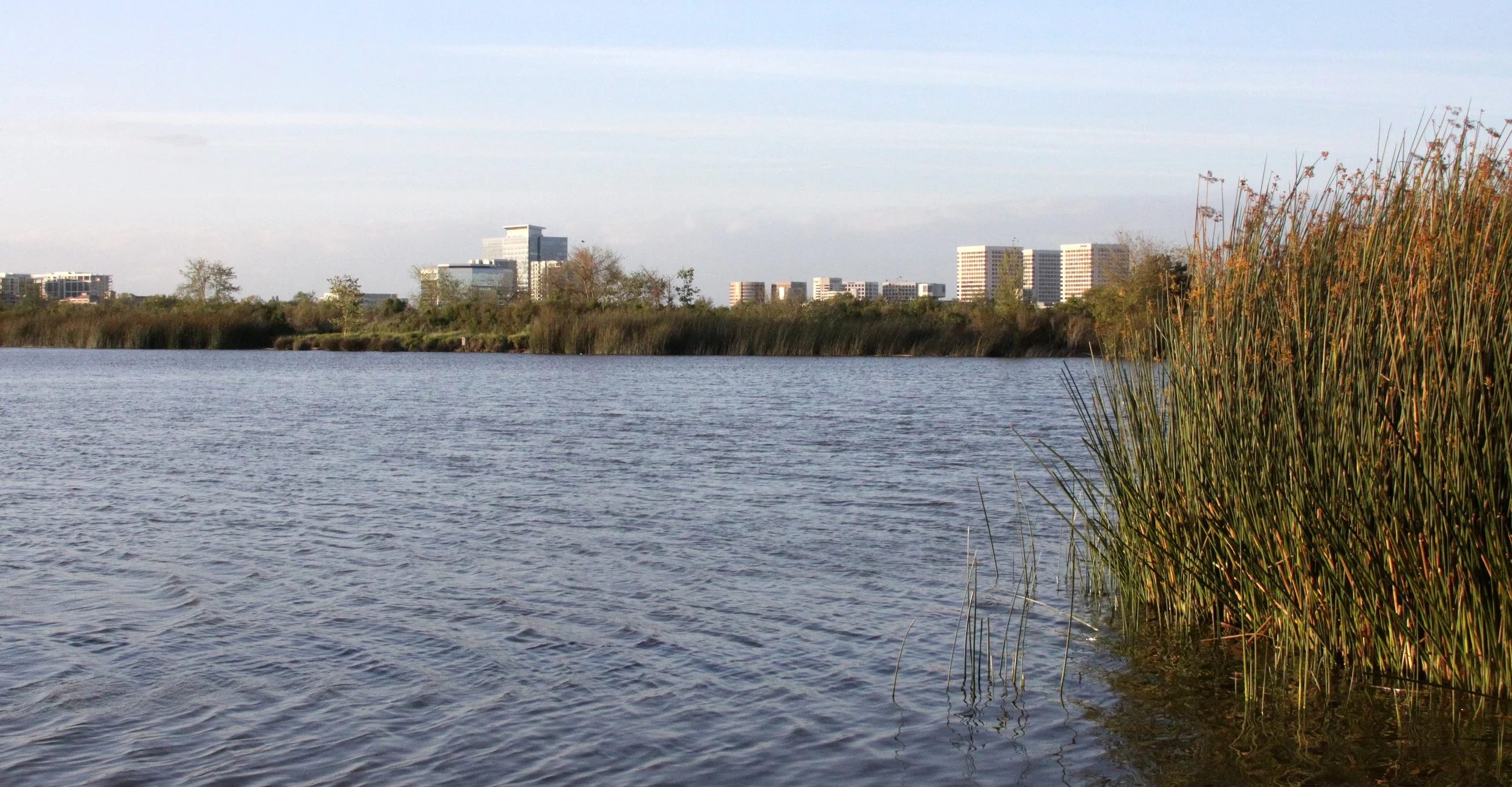SAN JOAQUIN WILDLIFE RESERVE IRVINE CALIFORNIA - ROADTRIP 2010.JPG