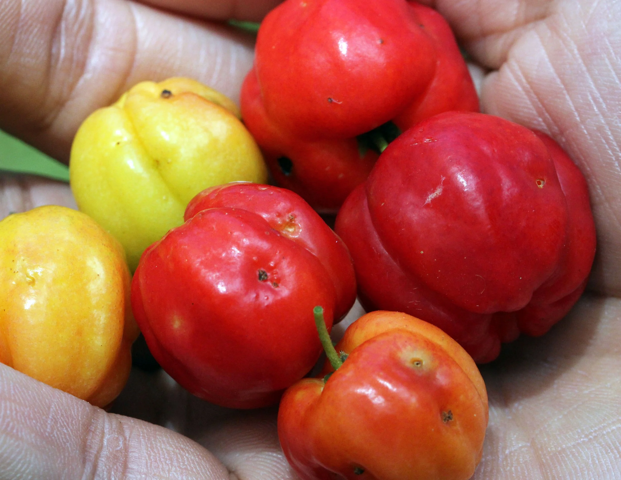 2013 Cha'am and Petchaburi with Family & Friends (64).JPG