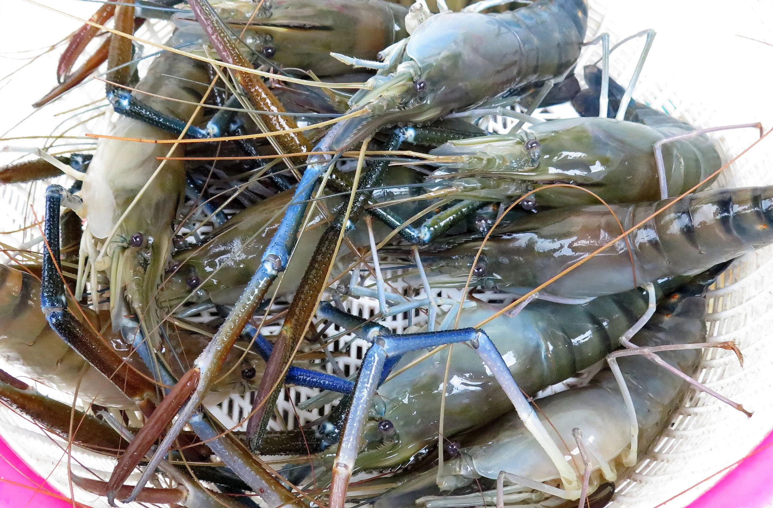 2014 Som's Birthday in Nonthaburi (4).JPG