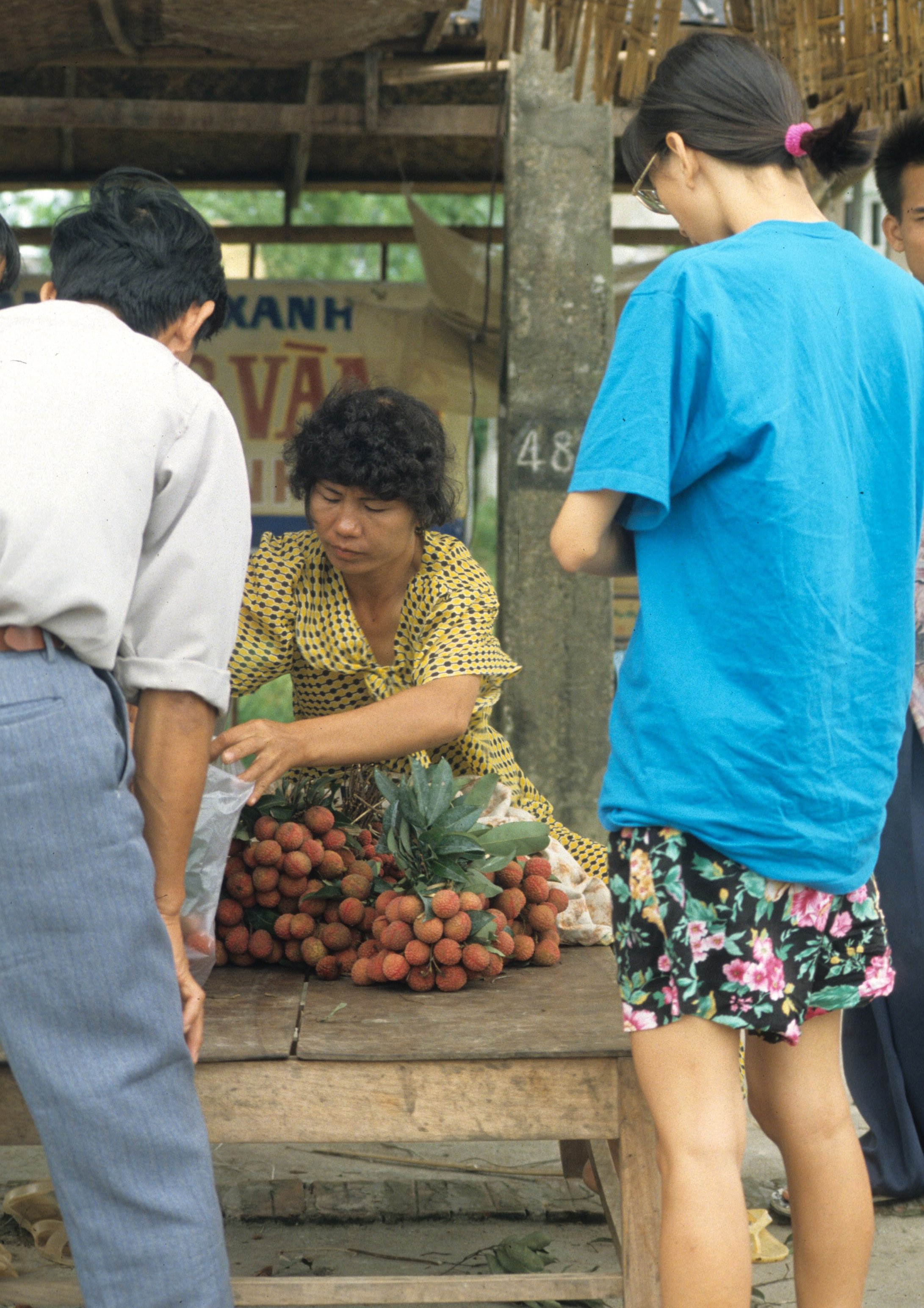 HANOI - LYCHEE FRUIT ORHARD (2).jpg