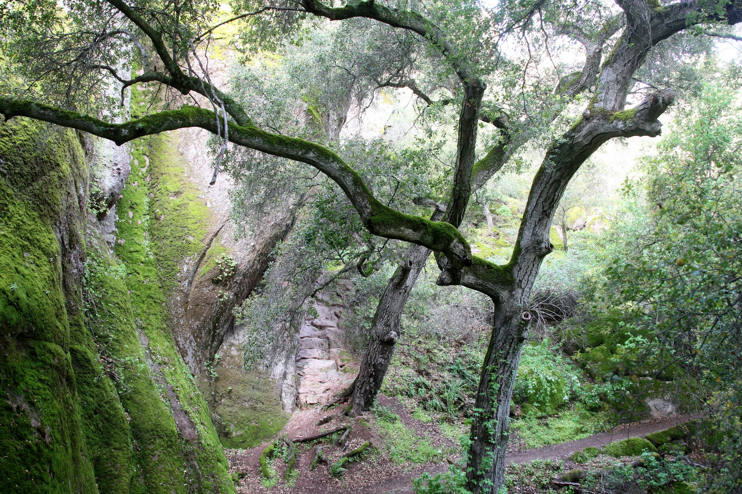 PINNACLES NATIONAL MONUMENT CALIFORNIA - VIEWS OF THE REGION (10).JPG