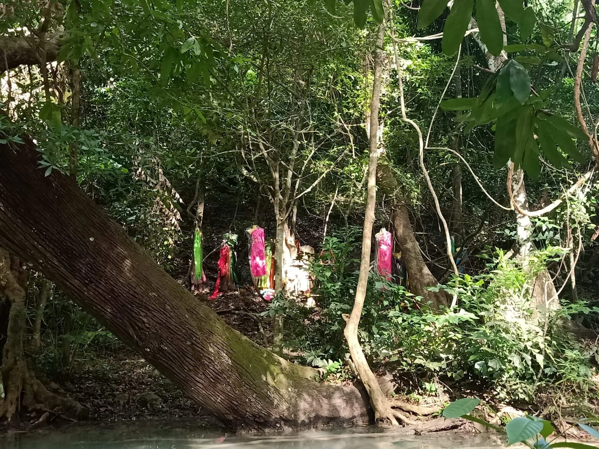 2019-2020 Misc Pictures from Other People - Family, Kanchanaburi, Lanta, Liana and more (164).jpeg