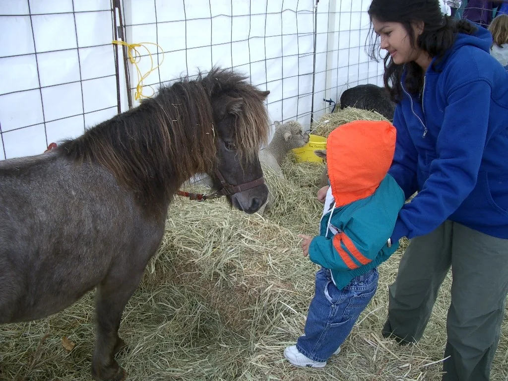 2003-10-12 CRAB FEST CRITTERS (8).JPG