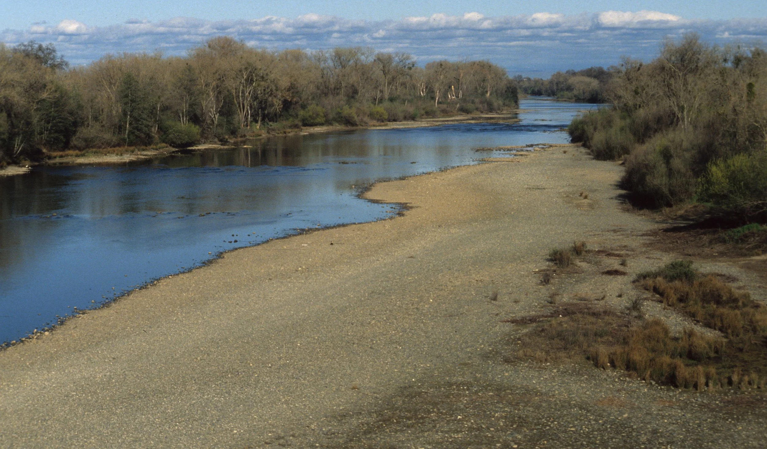 AMERICAN RIVER - RIPARIAN ZONE IN WINTER.jpg
