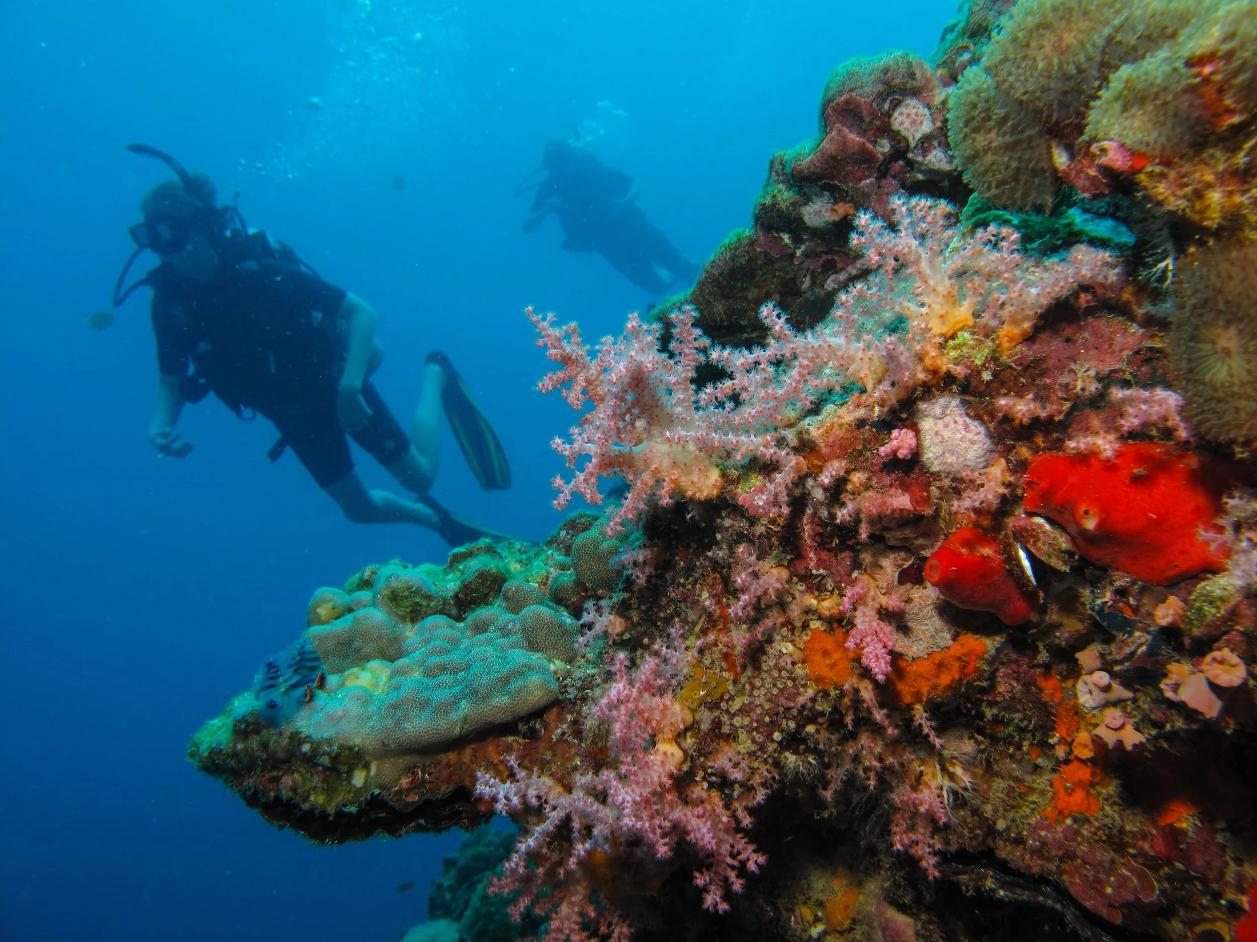 2013 Koh Lanta Dive Trip Koh Ha (120).jpg