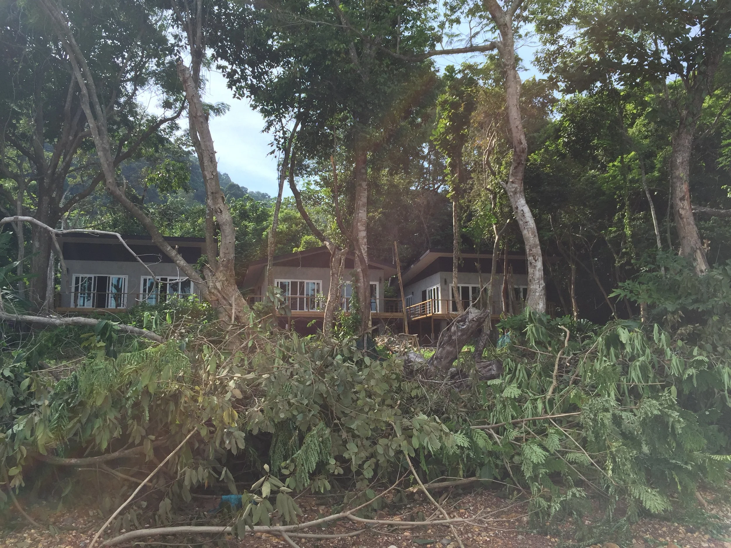 2015 Koh Lanta Garden & Nature (285).jpg