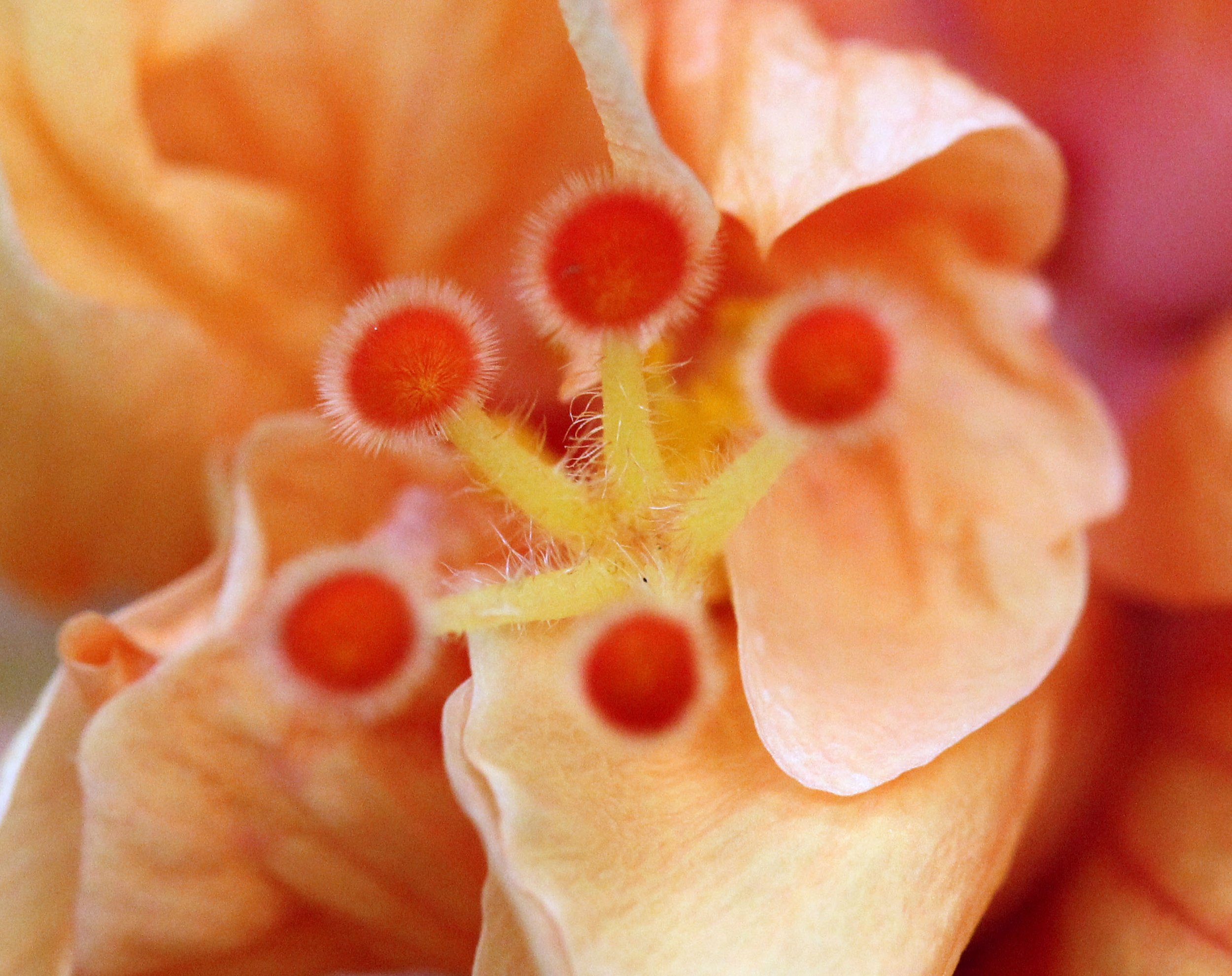 2013 Cha'am and Petchaburi with Family & Friends (35).JPG