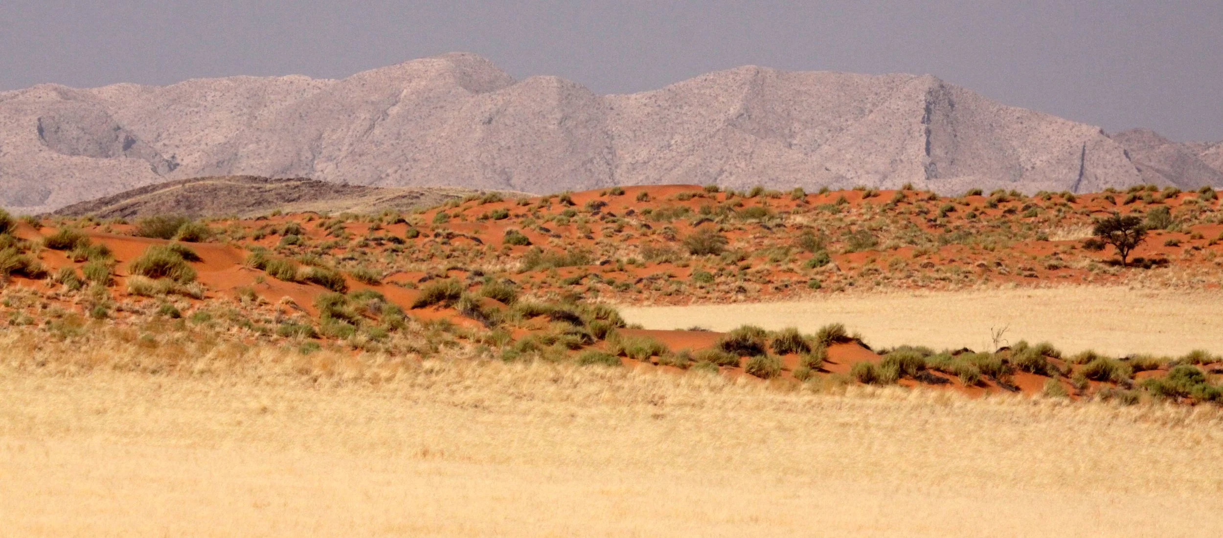 SOSSUSVLEI, NAMIB NAUKLUFT NATIONAL PARK, NAMIBIA - SCENERY (3).JPG
