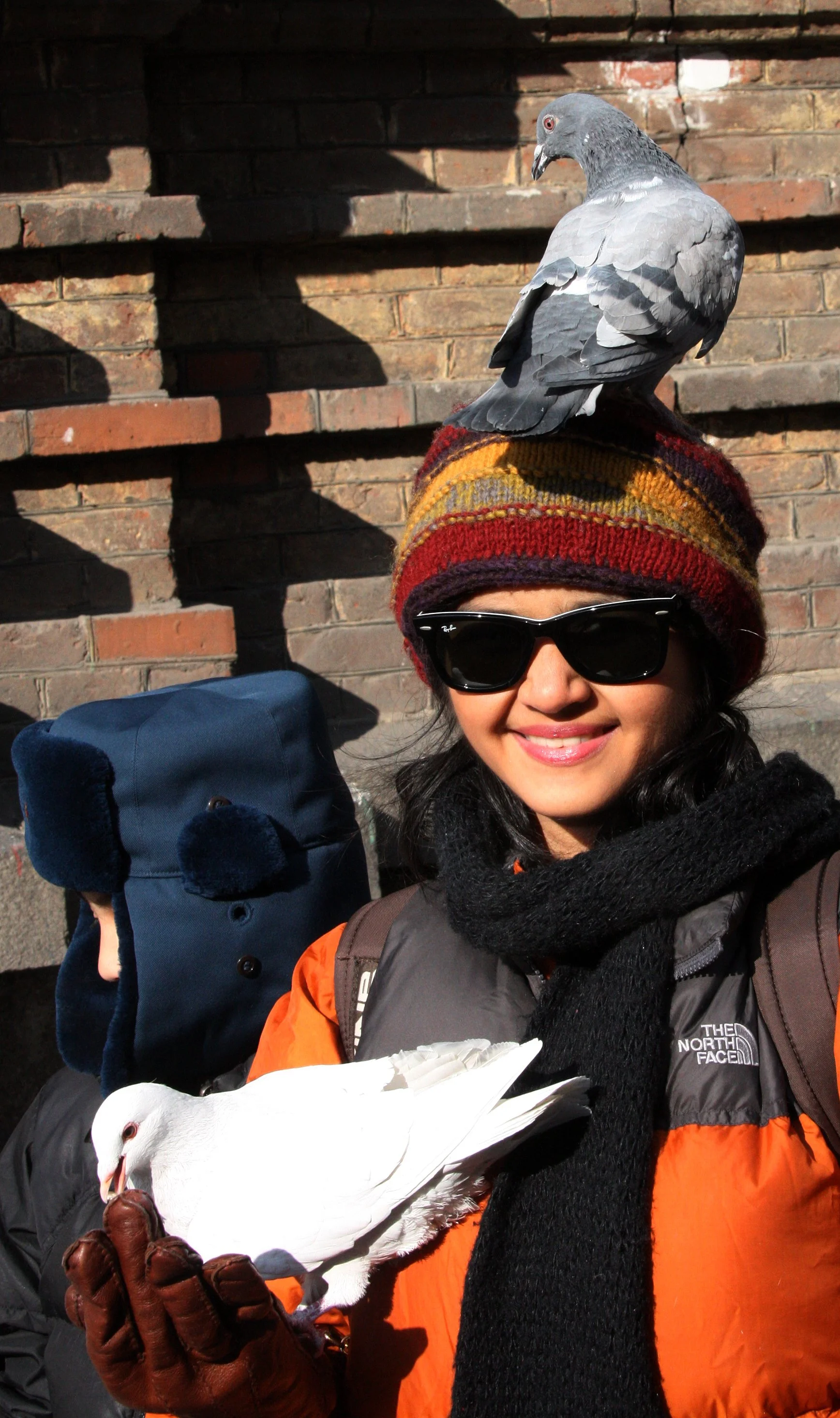 BIRD - PIGEON - HARBIN SAINT SOPHIA'S CATHEDRAL CHINA (63).JPG