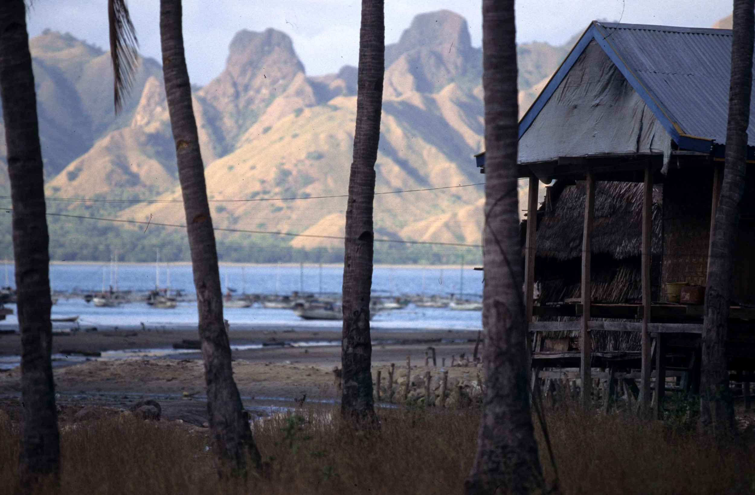 KOMODO - VILLAGE H.jpg