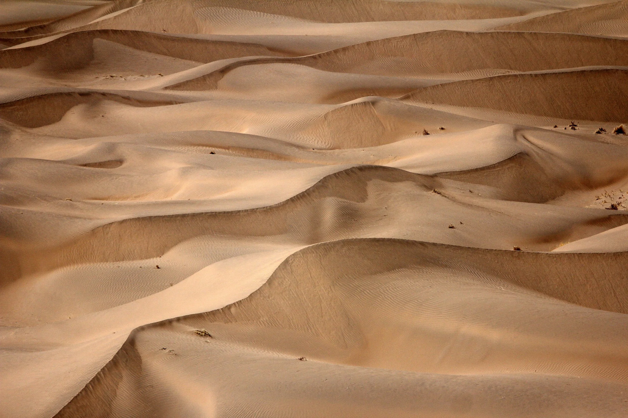 GANSU - DUNES SOUTH OF DUNHUANG - CHINA (29).JPG
