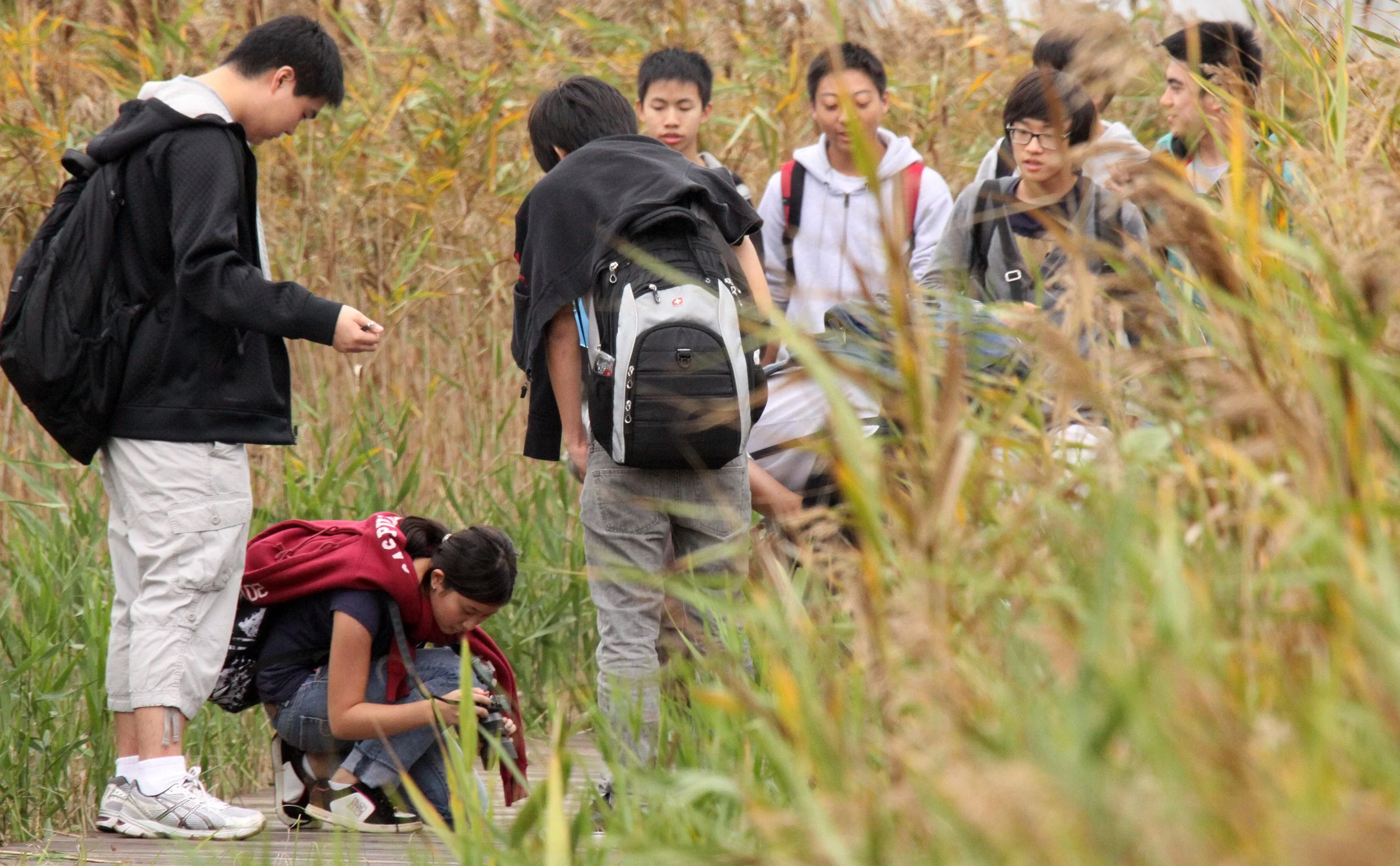 CHONGMING ISLAND DONGTAN WETLANDS RESERVE FIELD TRIP 2011 (53).JPG
