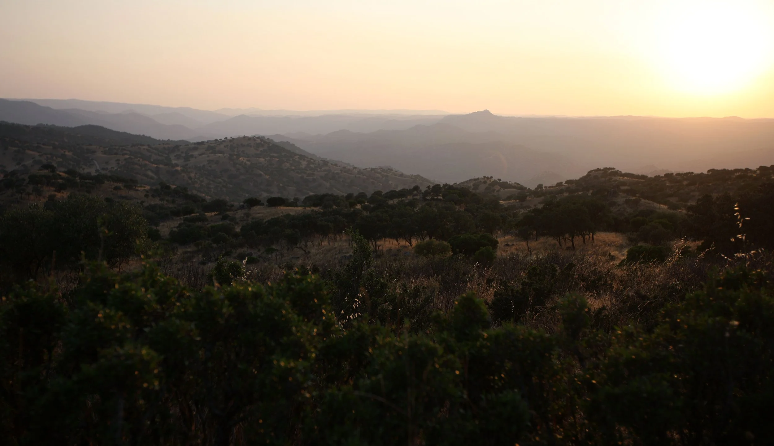 SIERRA DE ANDUJAR SPAIN (26).JPG