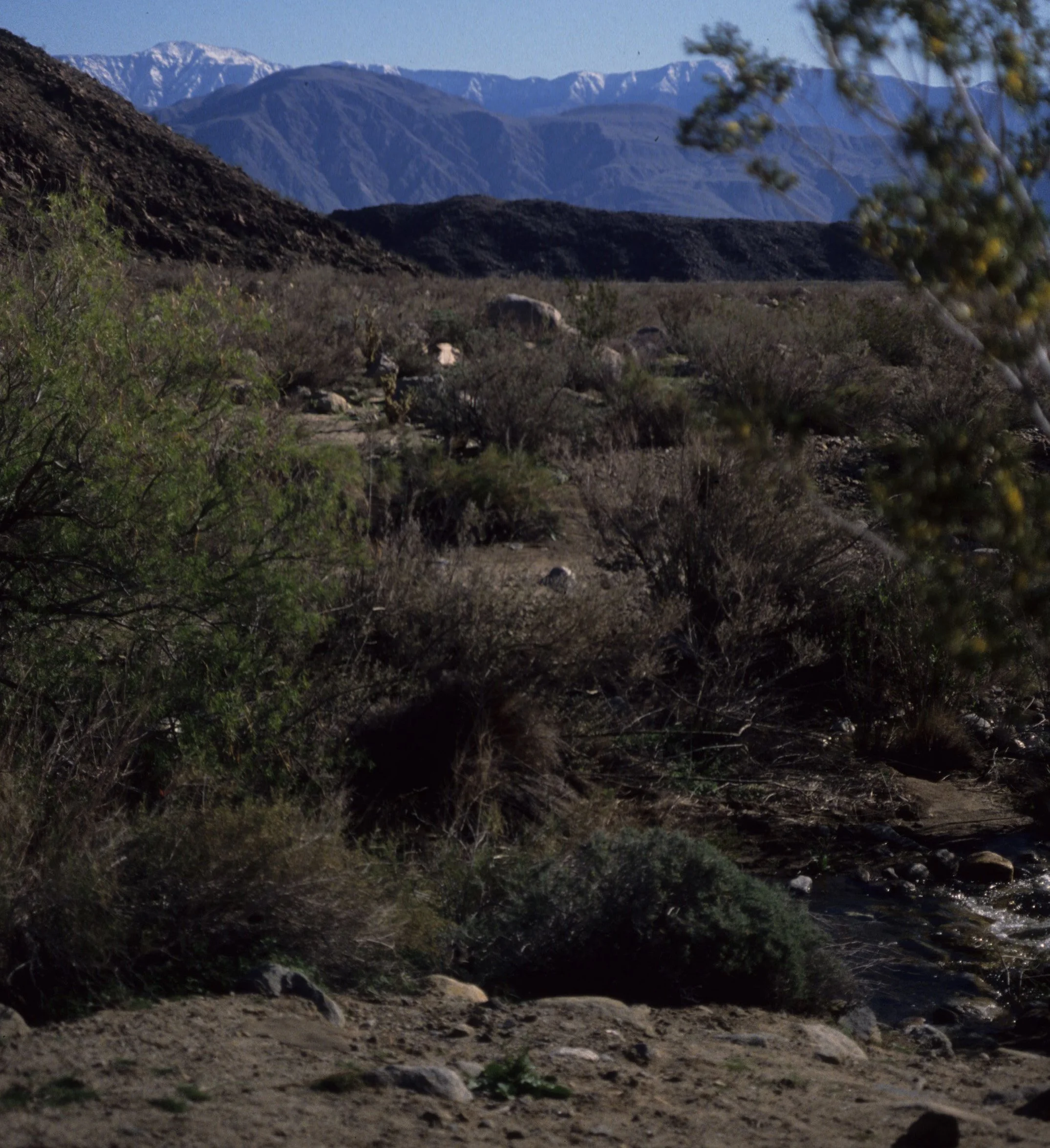 ANZA BORREGO - VIEW OF MOUNTAINS.jpg
