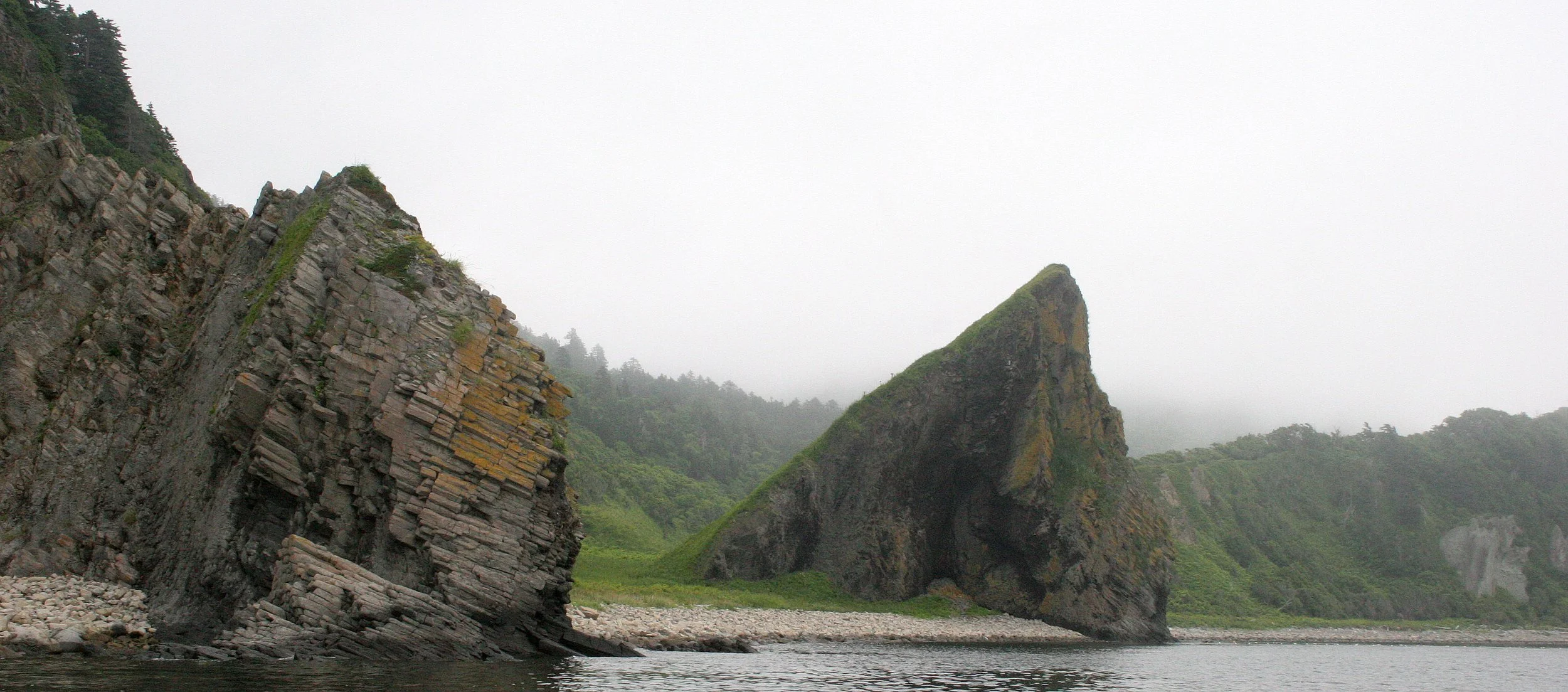 KURIL ISLANDS - FLORA  (52).jpg