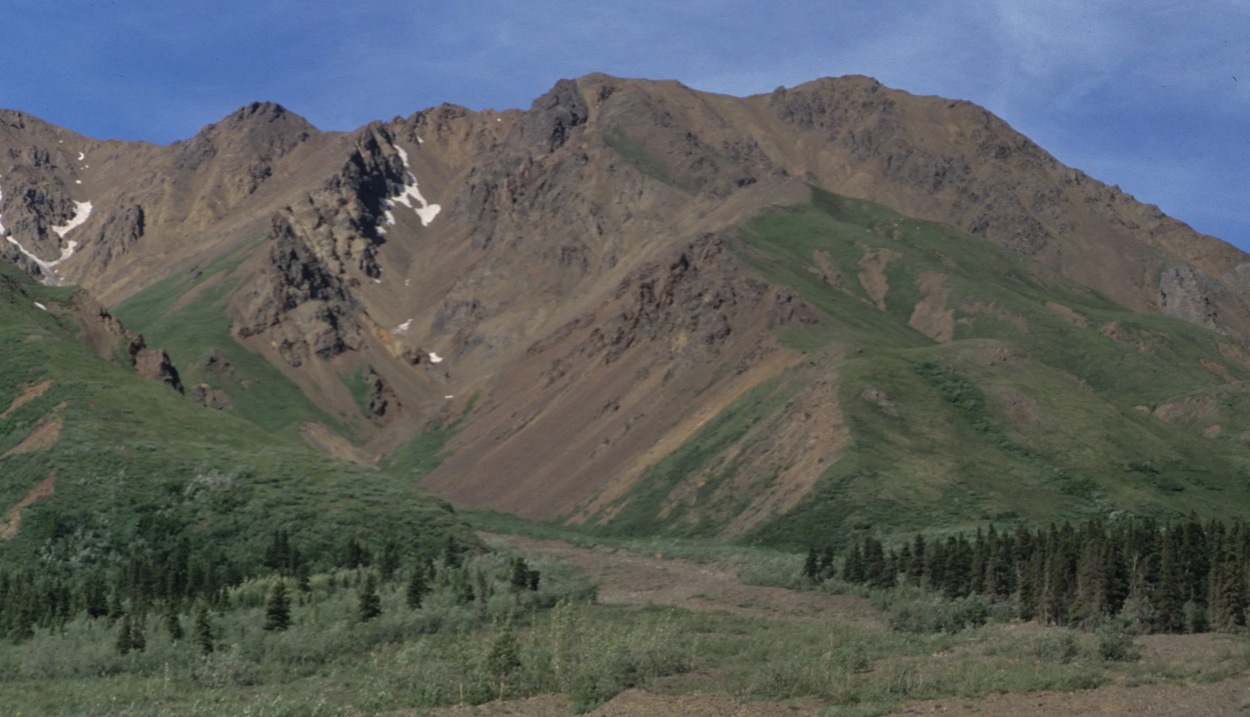 ALASKA - DENALI - MIXED TAIGA AND TUNDRA.jpg