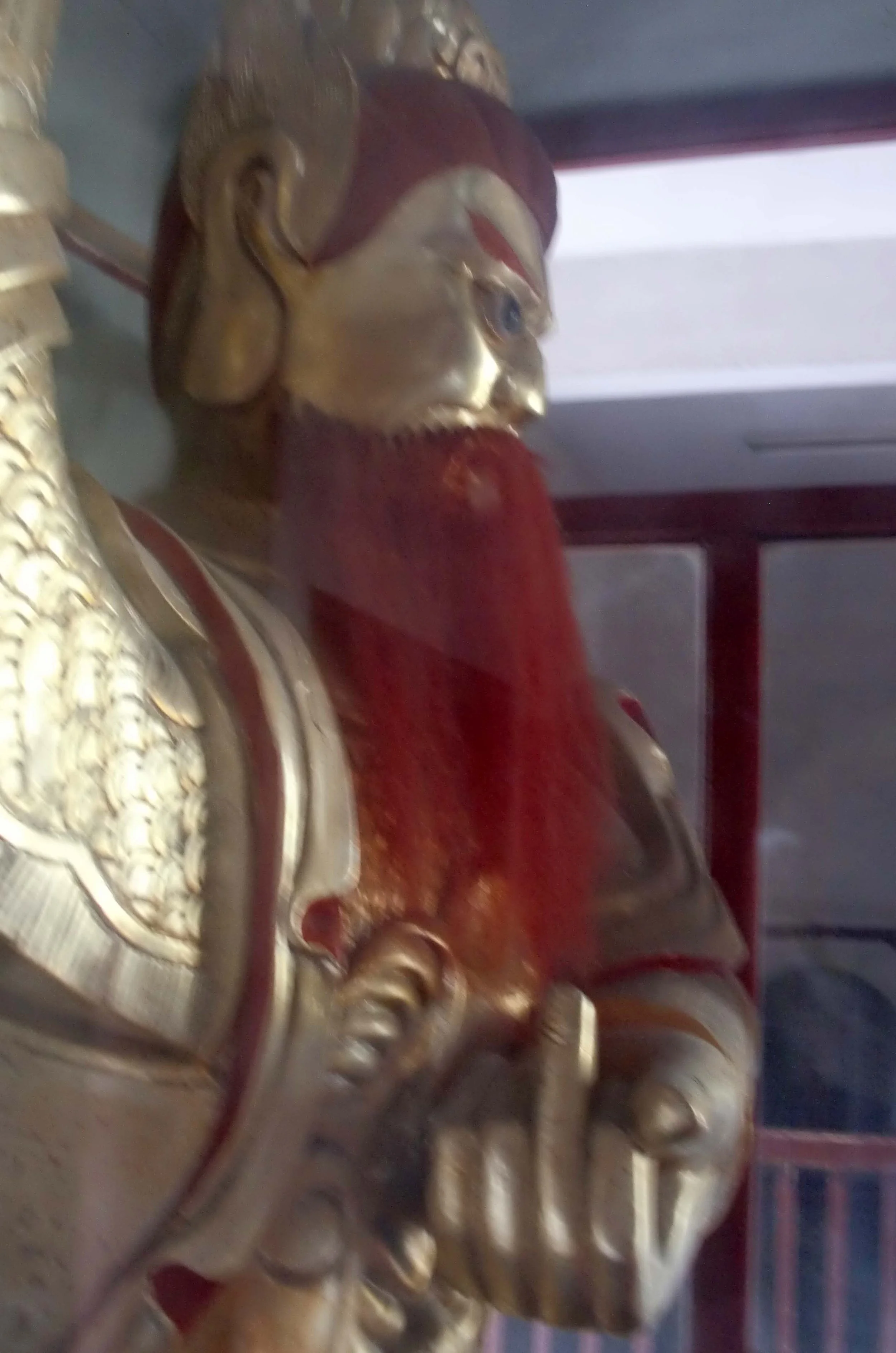 2011-5-28 BIKE RIDE IN JINQIAO (9).JPG