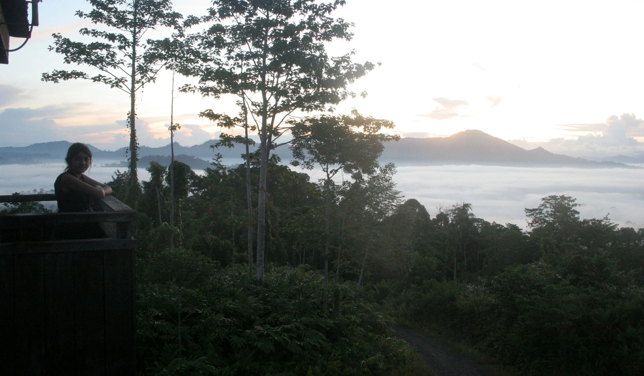 DANUM VALLEY BORNEO - SUNRISE OVER THE DANUM (92).JPG