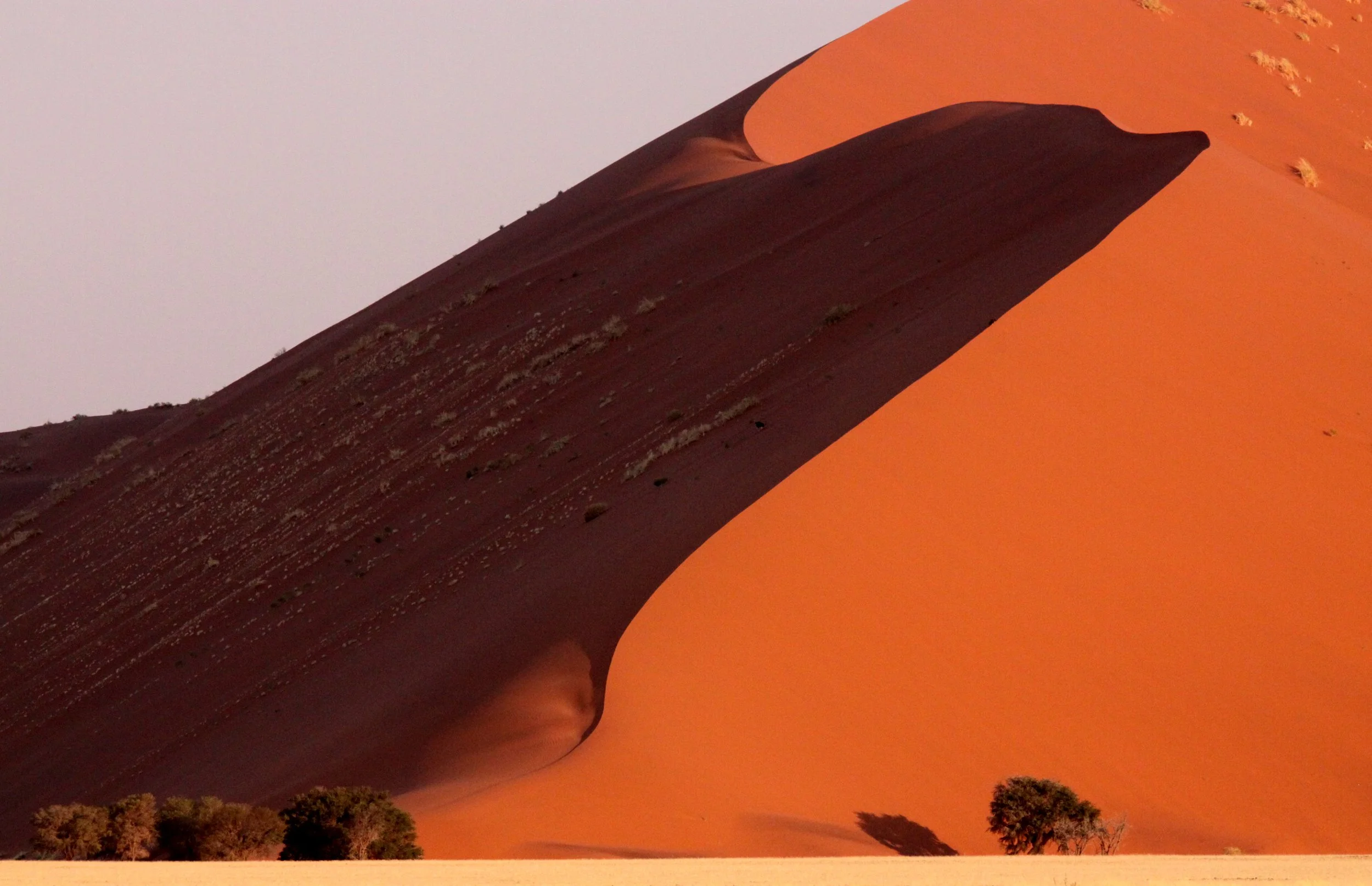 SOSSUSVLEI, NAMIB NAUKLUFT NATIONAL PARK, NAMIBIA (33).JPG
