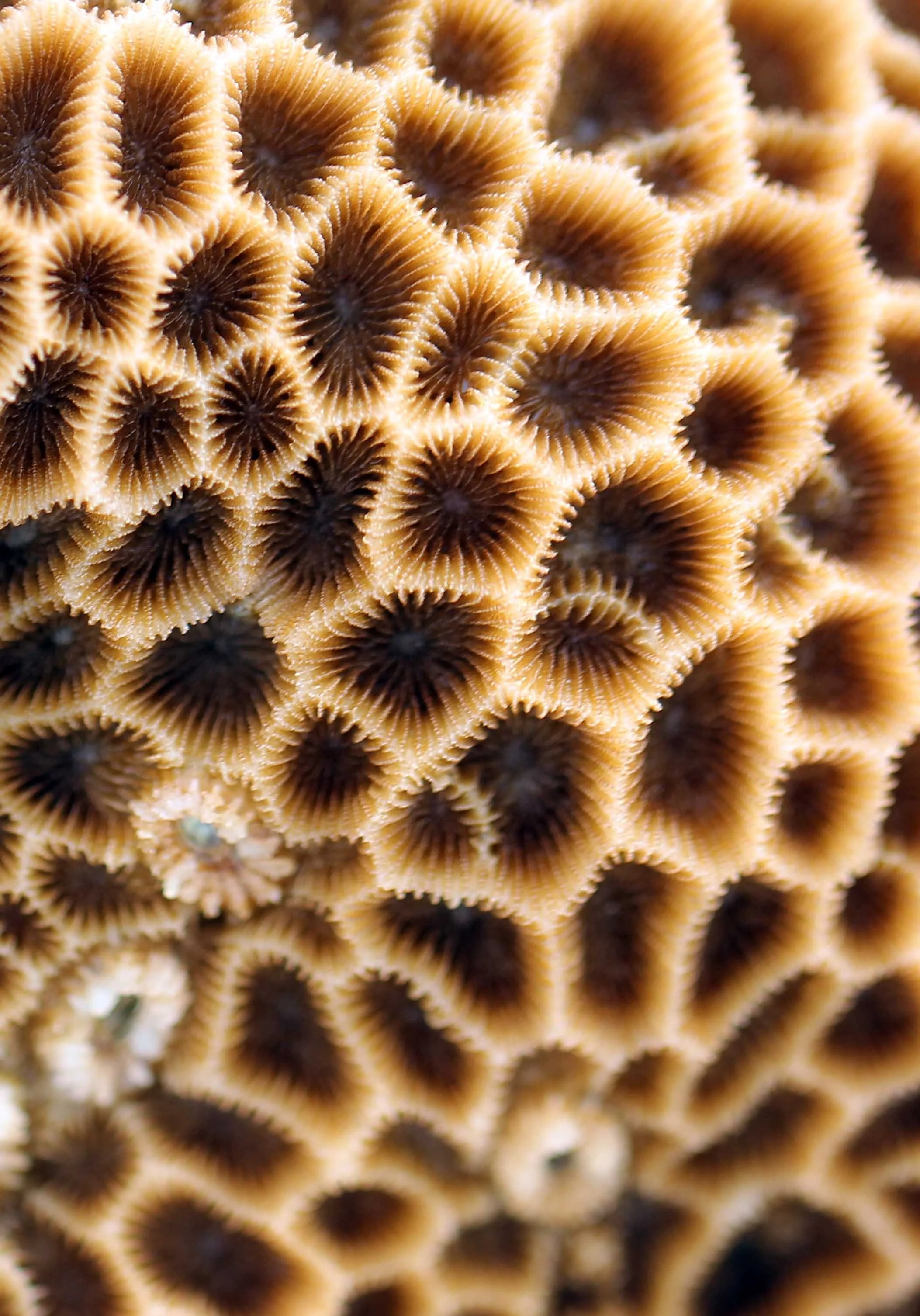 2015 Koh Lanta Songkran with friends from ISB (648).JPG