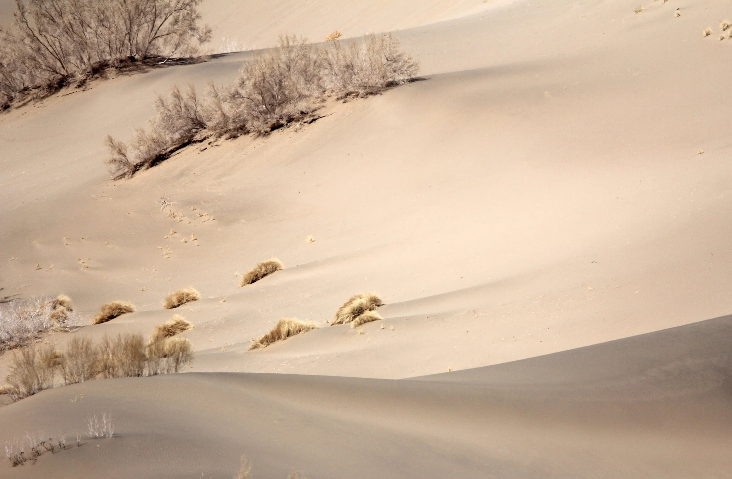 GANSU - DUNES SOUTH OF DUNHUANG - CHINA (36).JPG